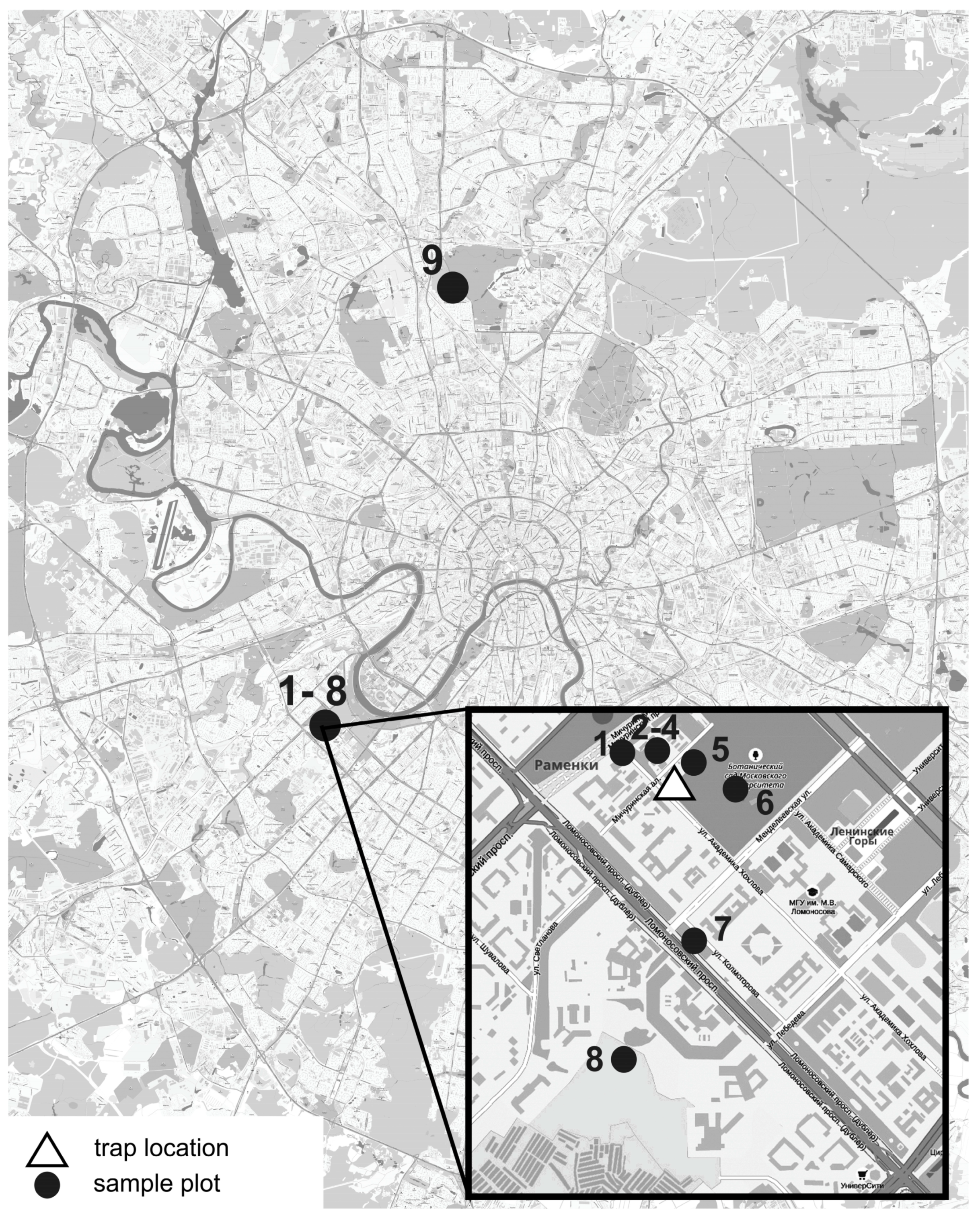 Plants 13 02384 g005