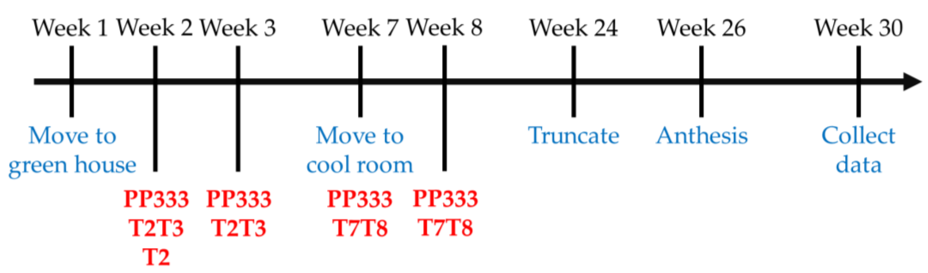 Plants 13 02385 g006
