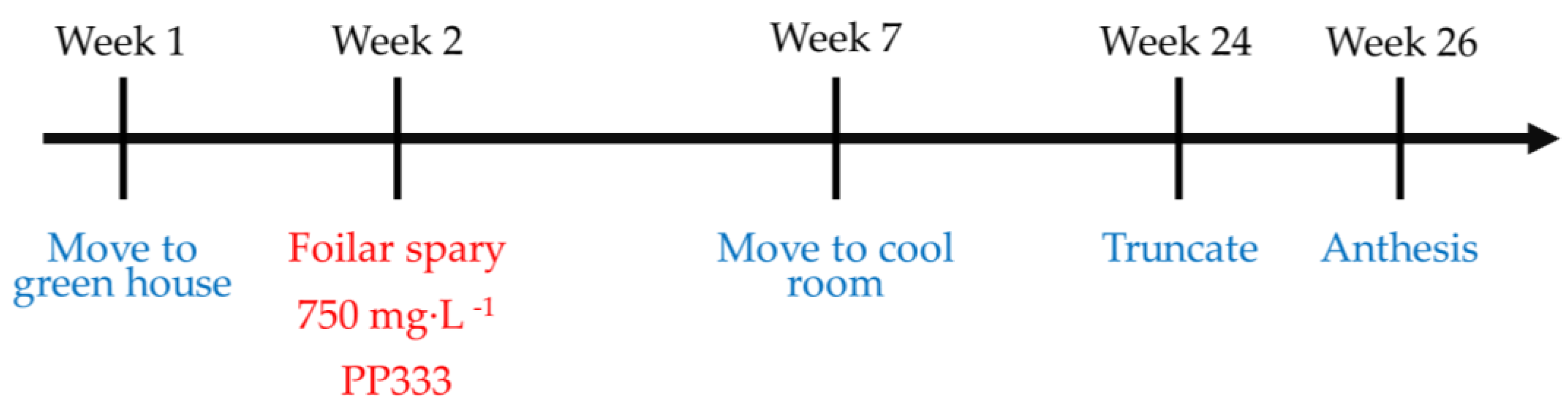 Plants 13 02385 g007