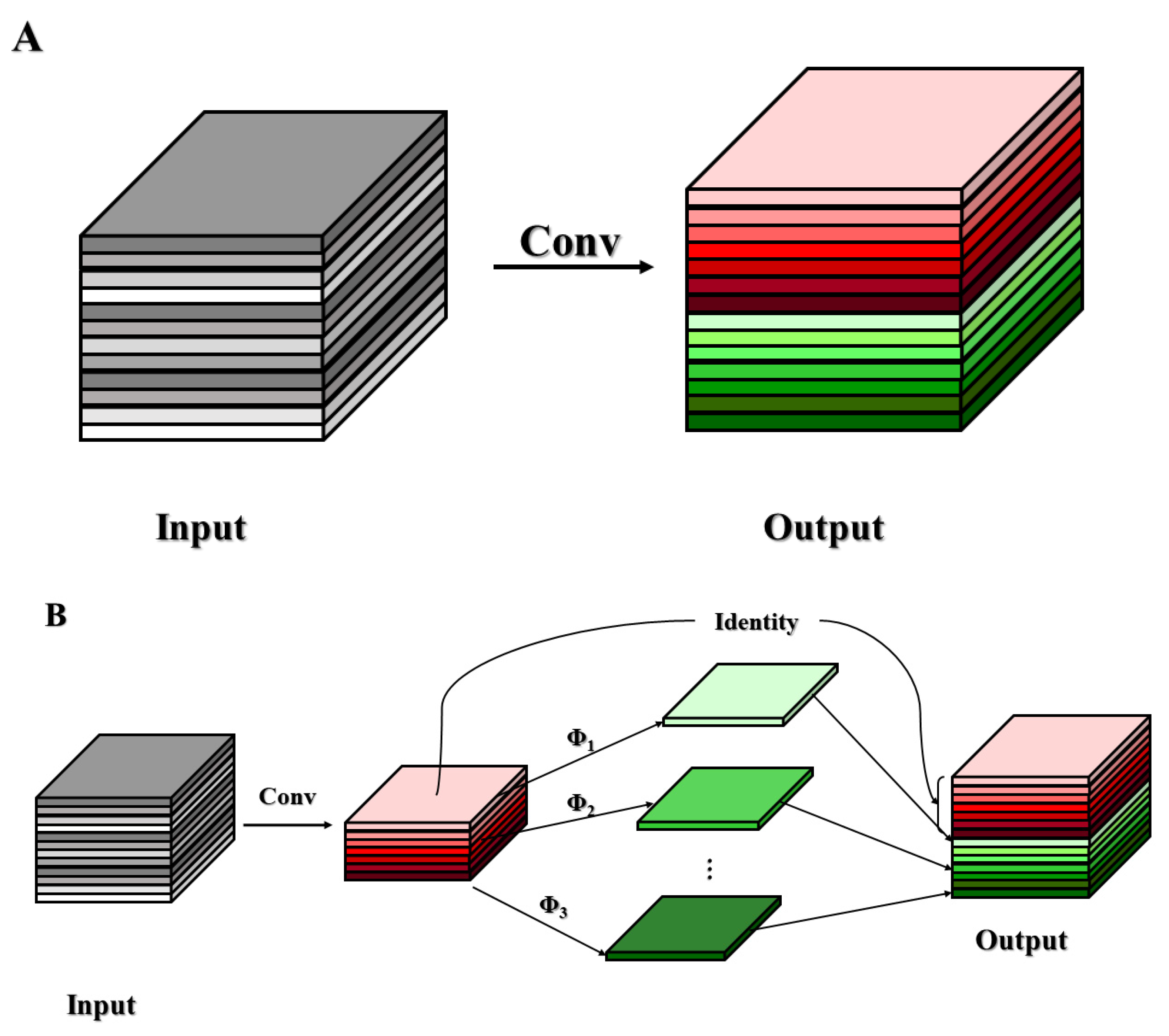 Plants 13 02388 g004