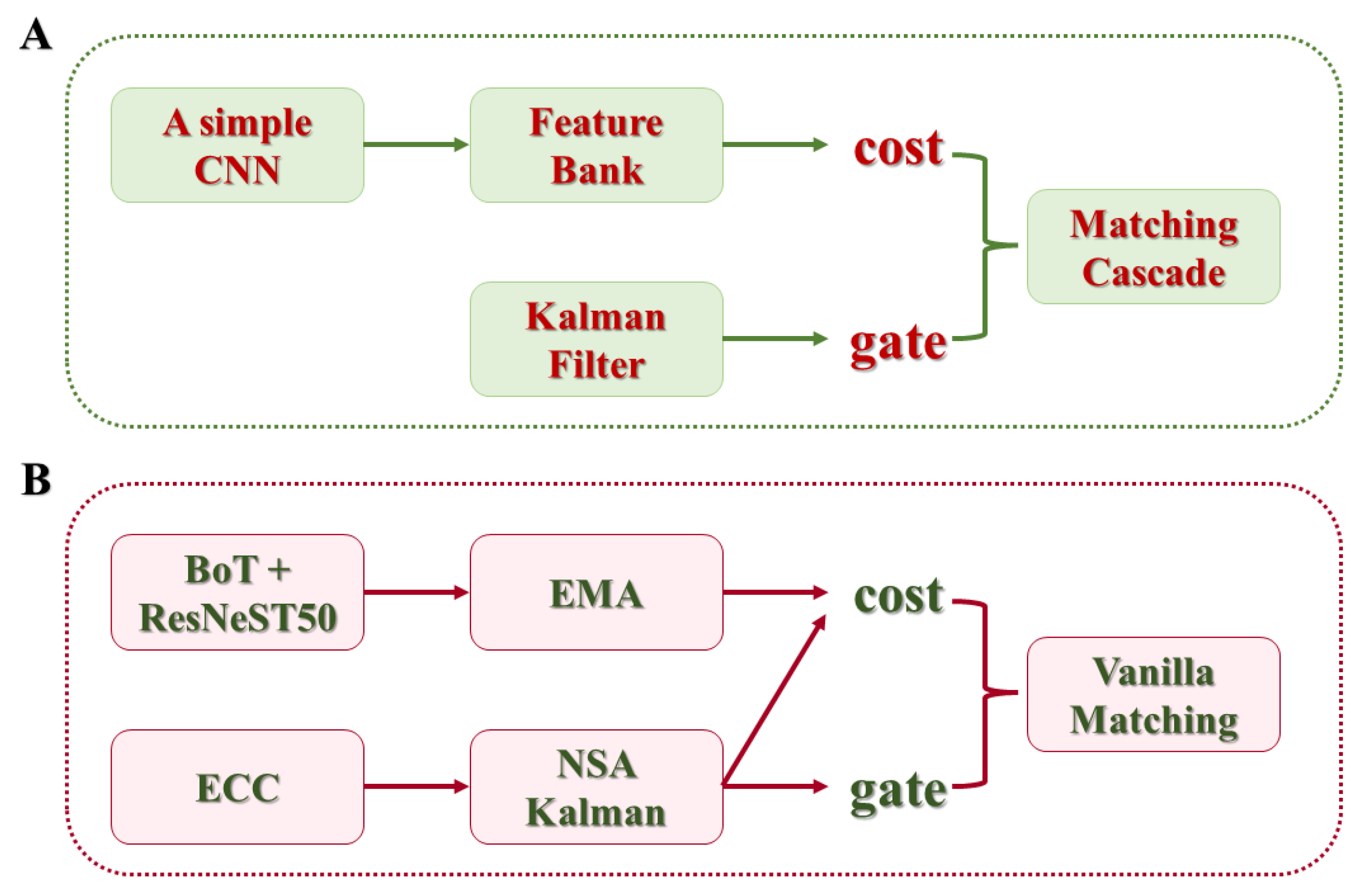Plants 13 02388 g005