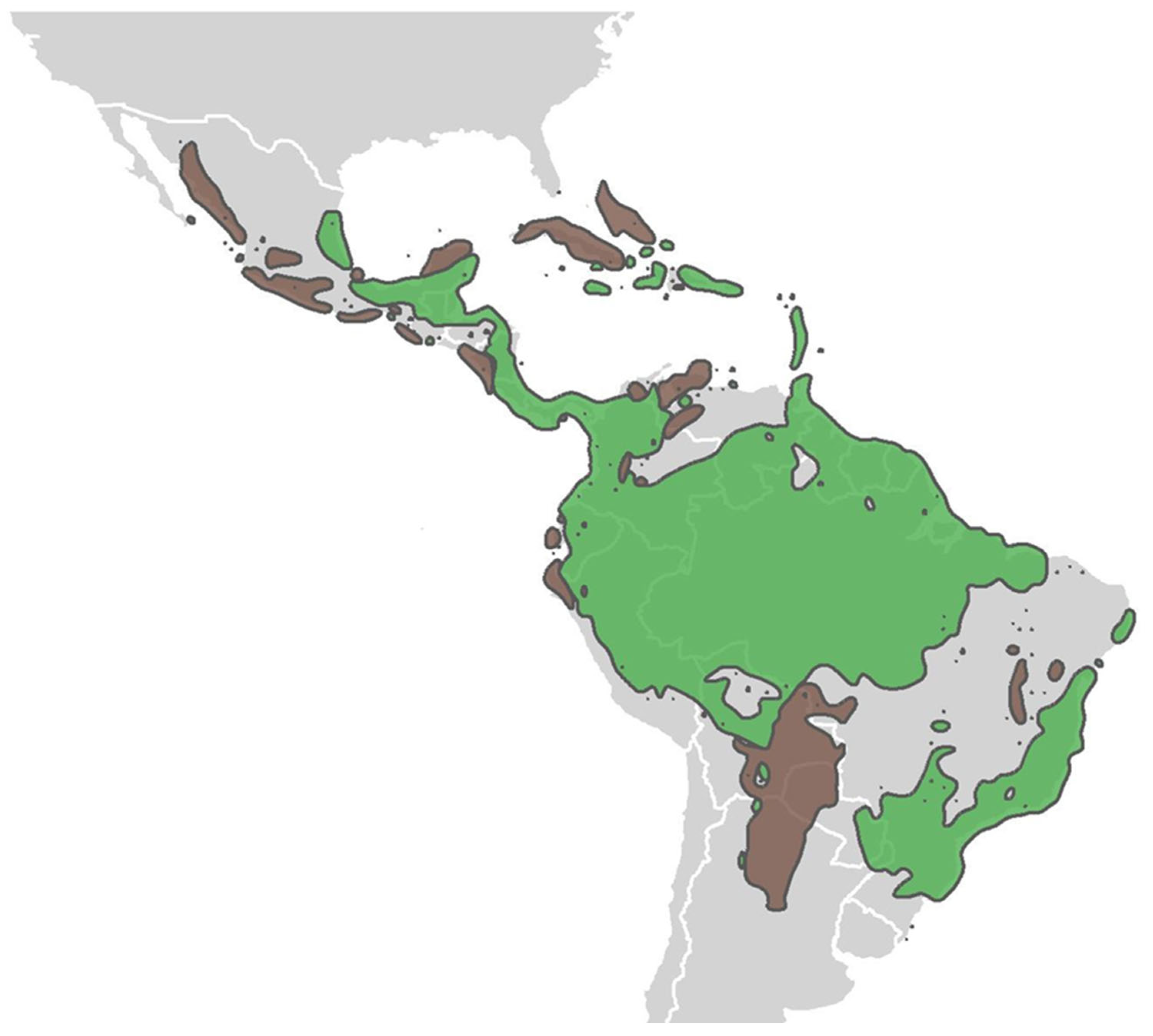 Plants 13 02396 g001 Plants 13 02396 g001