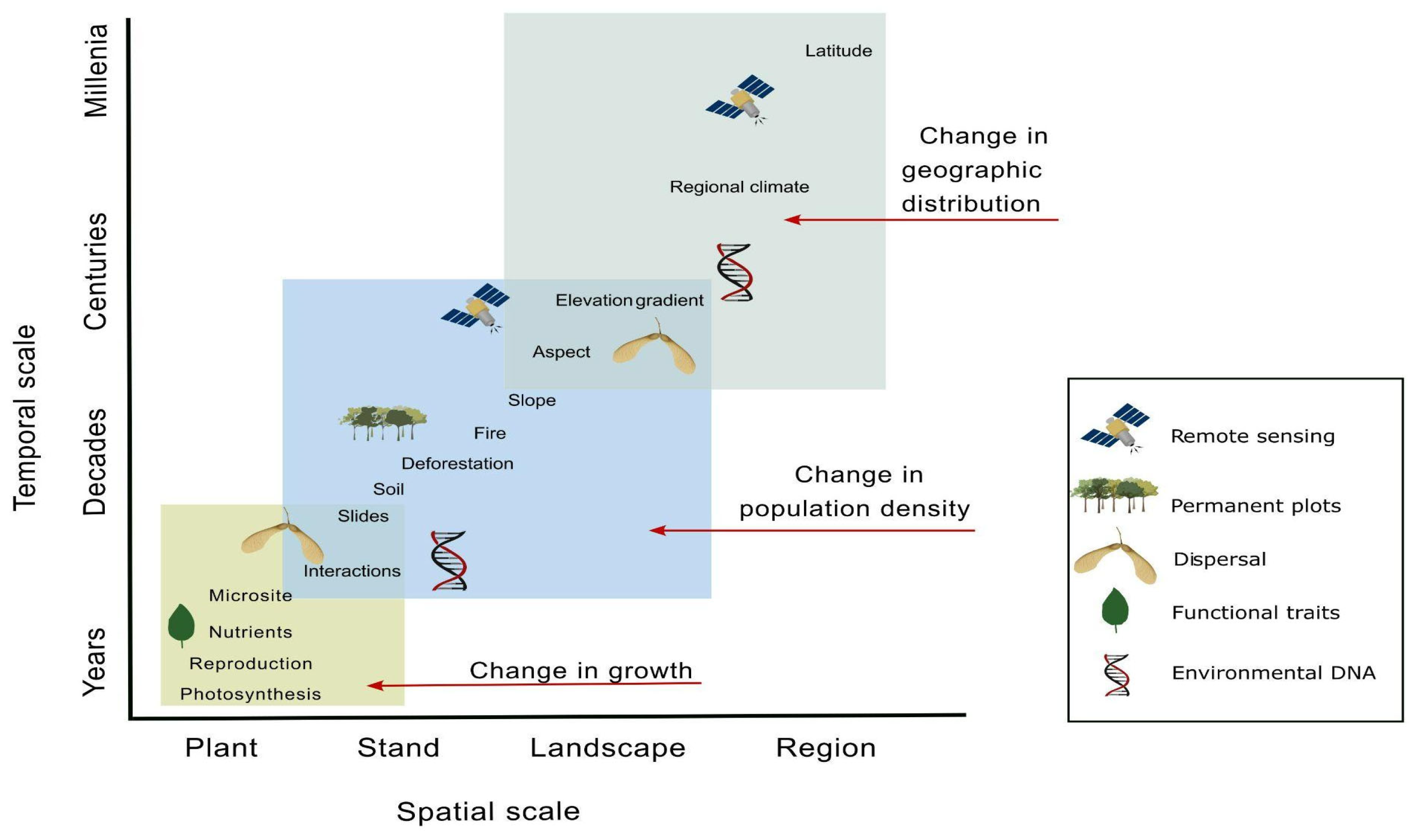 Plants 13 02396 g002 Plants 13 02396 g002