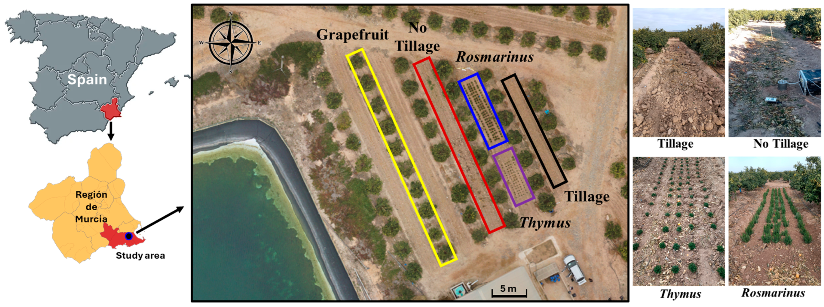 Plants 13 02399 g003