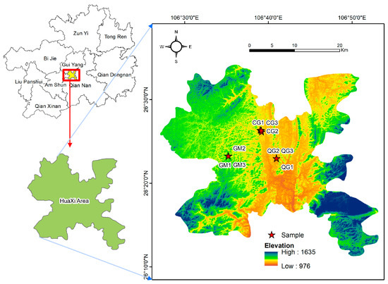 Influence of Functional Traits of Dominant Species of Different
