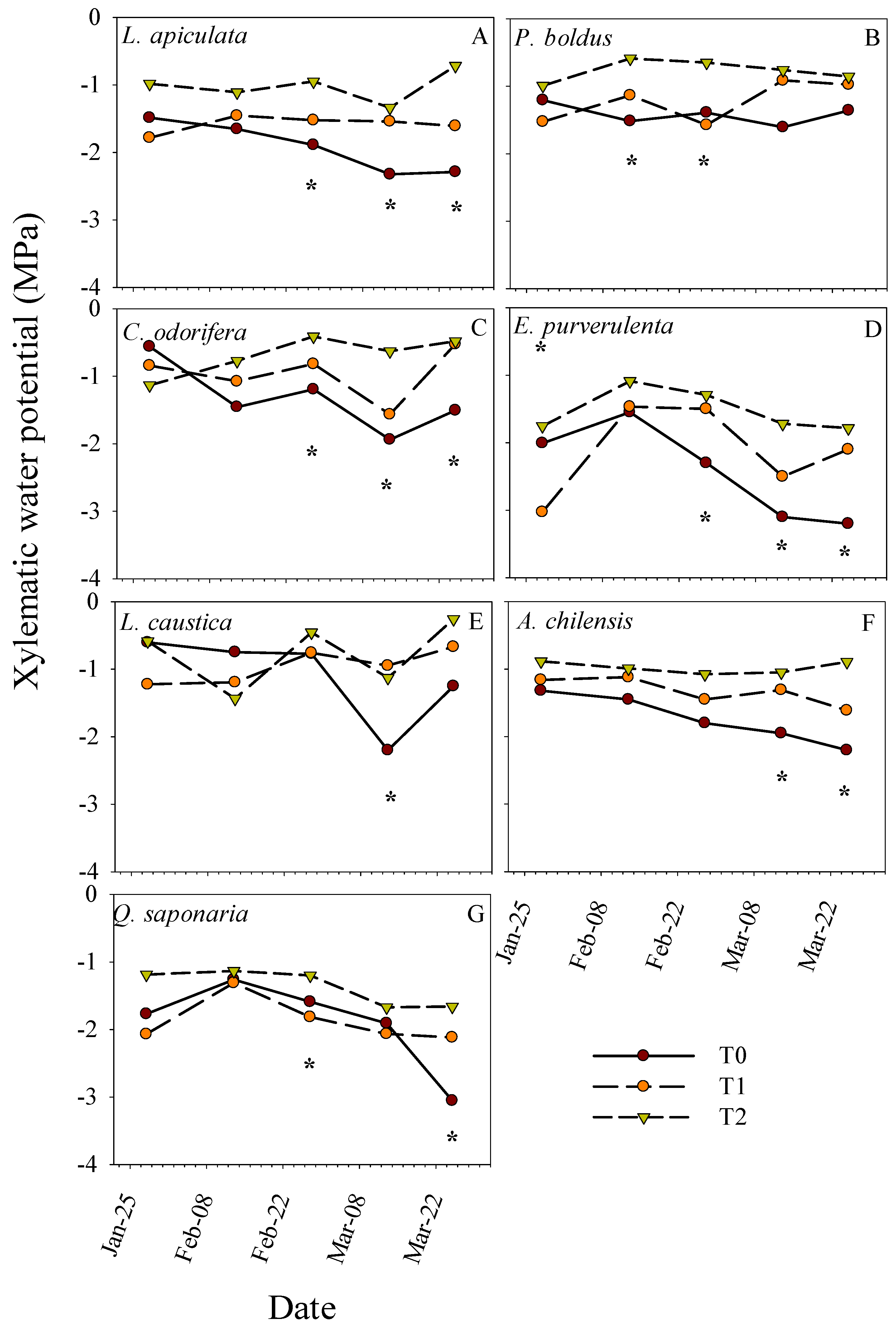 Plants 13 02410 g005 Plants 13 02410 g005