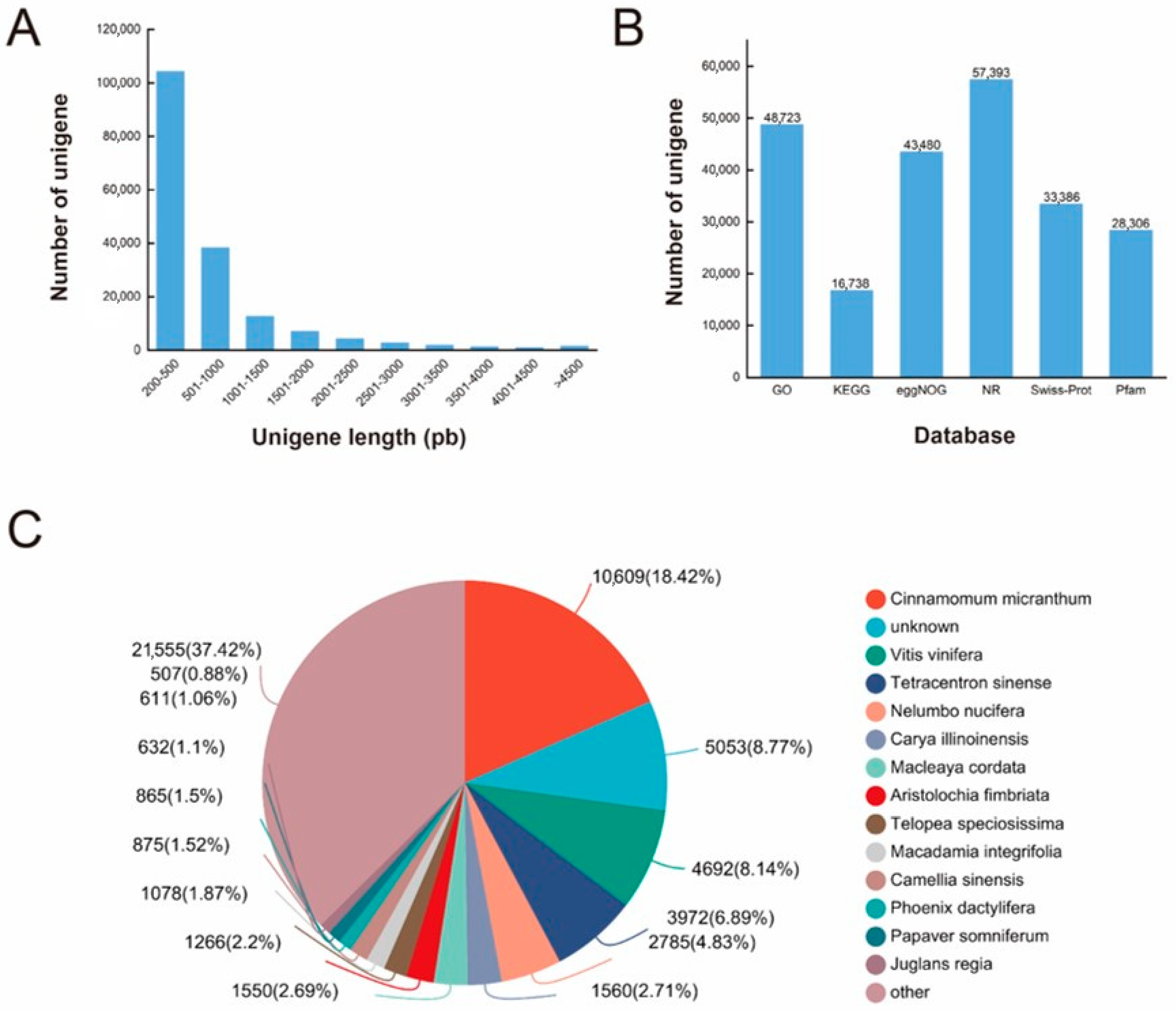 Plants 13 02418 g002