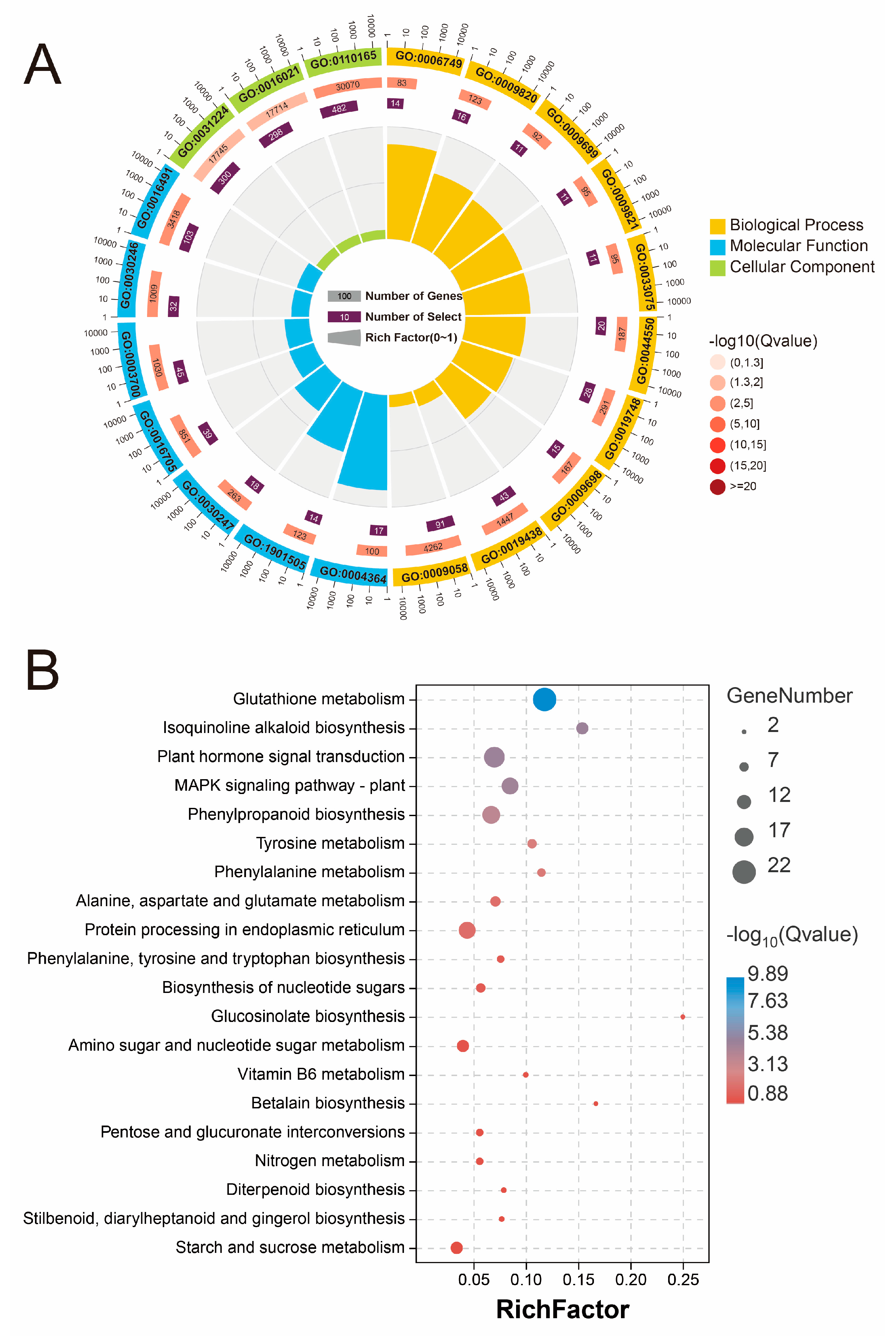 Plants 13 02418 g004