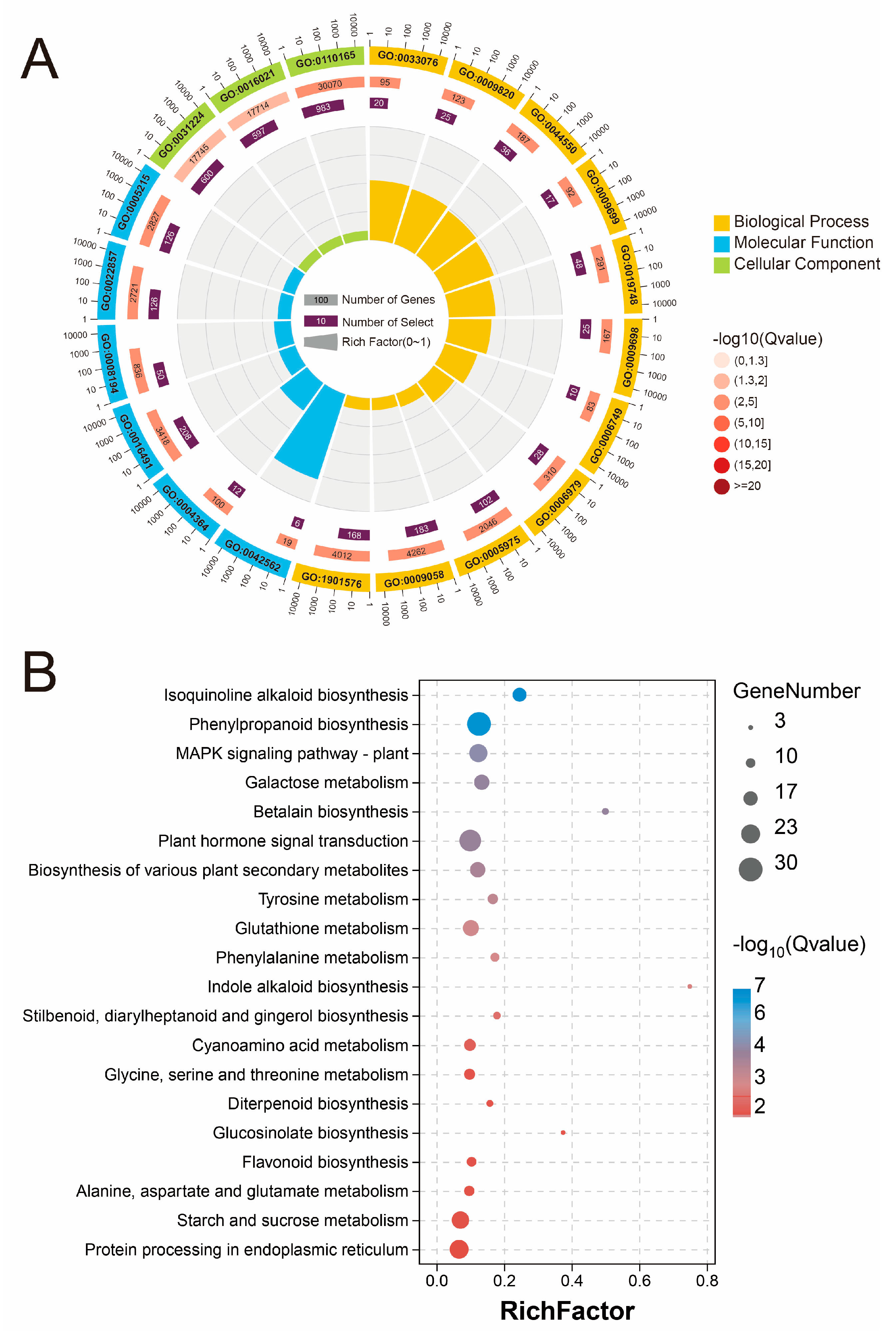 Plants 13 02418 g005