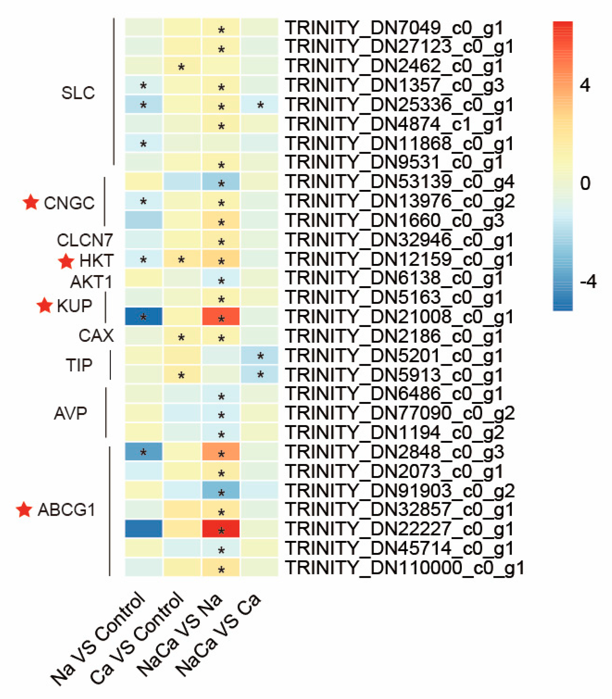 Plants 13 02418 g007