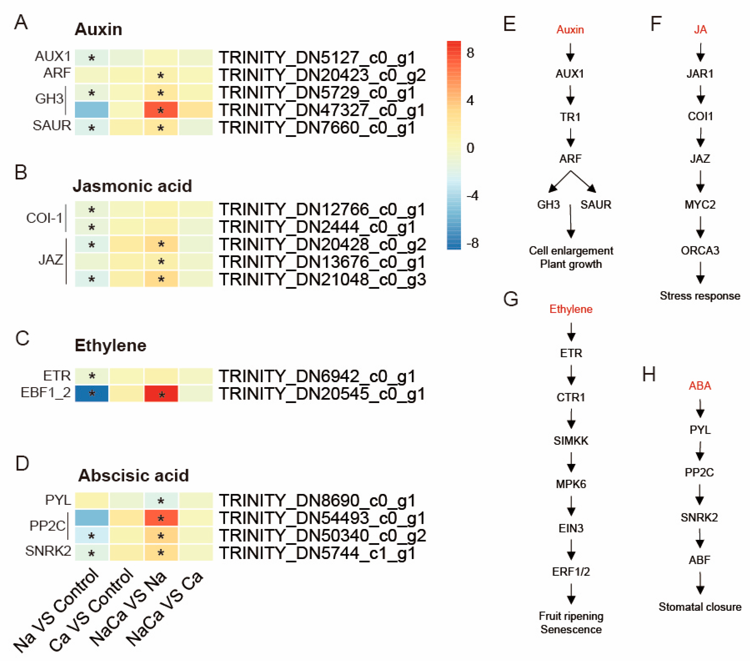 Plants 13 02418 g008
