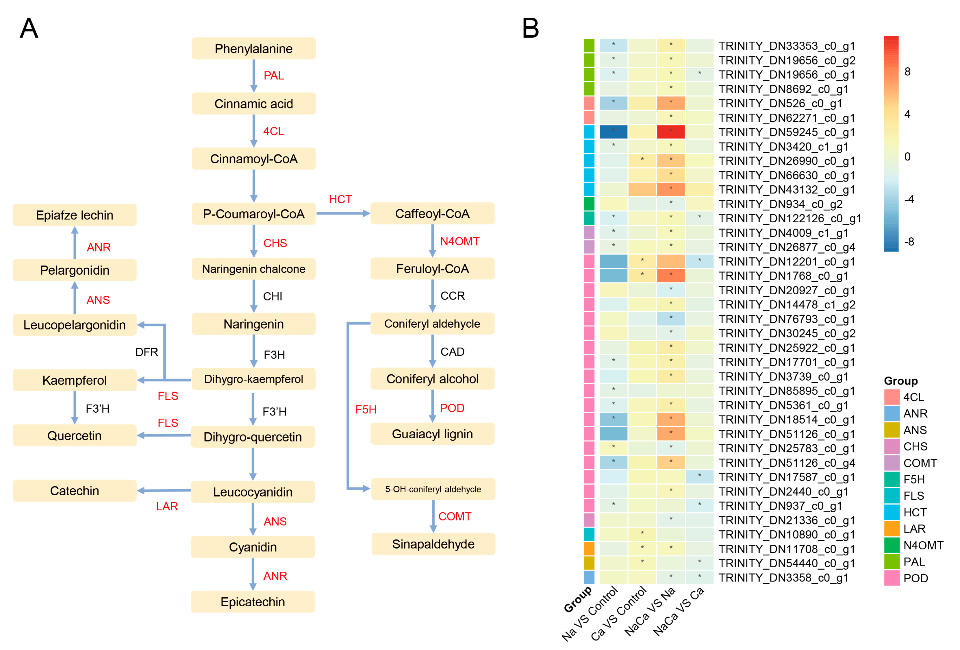 Plants 13 02418 g009