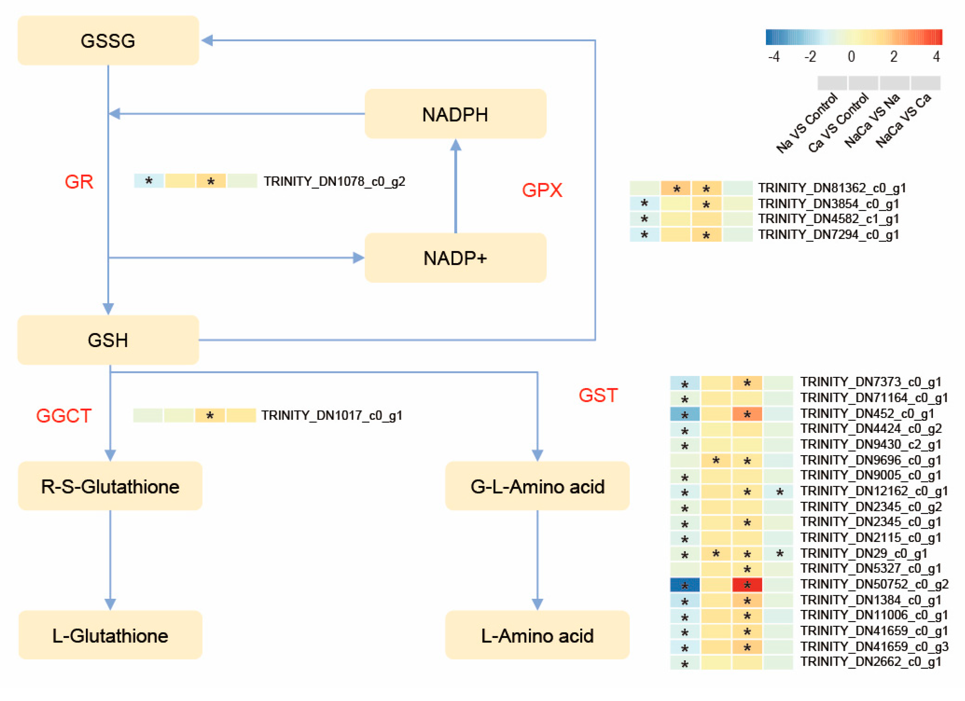 Plants 13 02418 g010