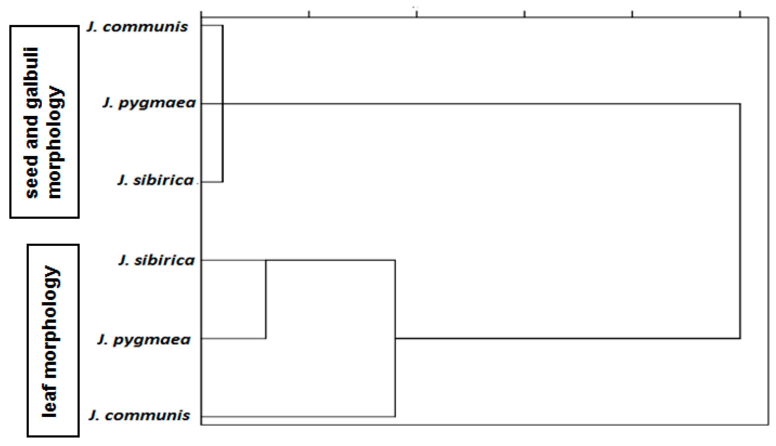 Plants 13 02419 g001