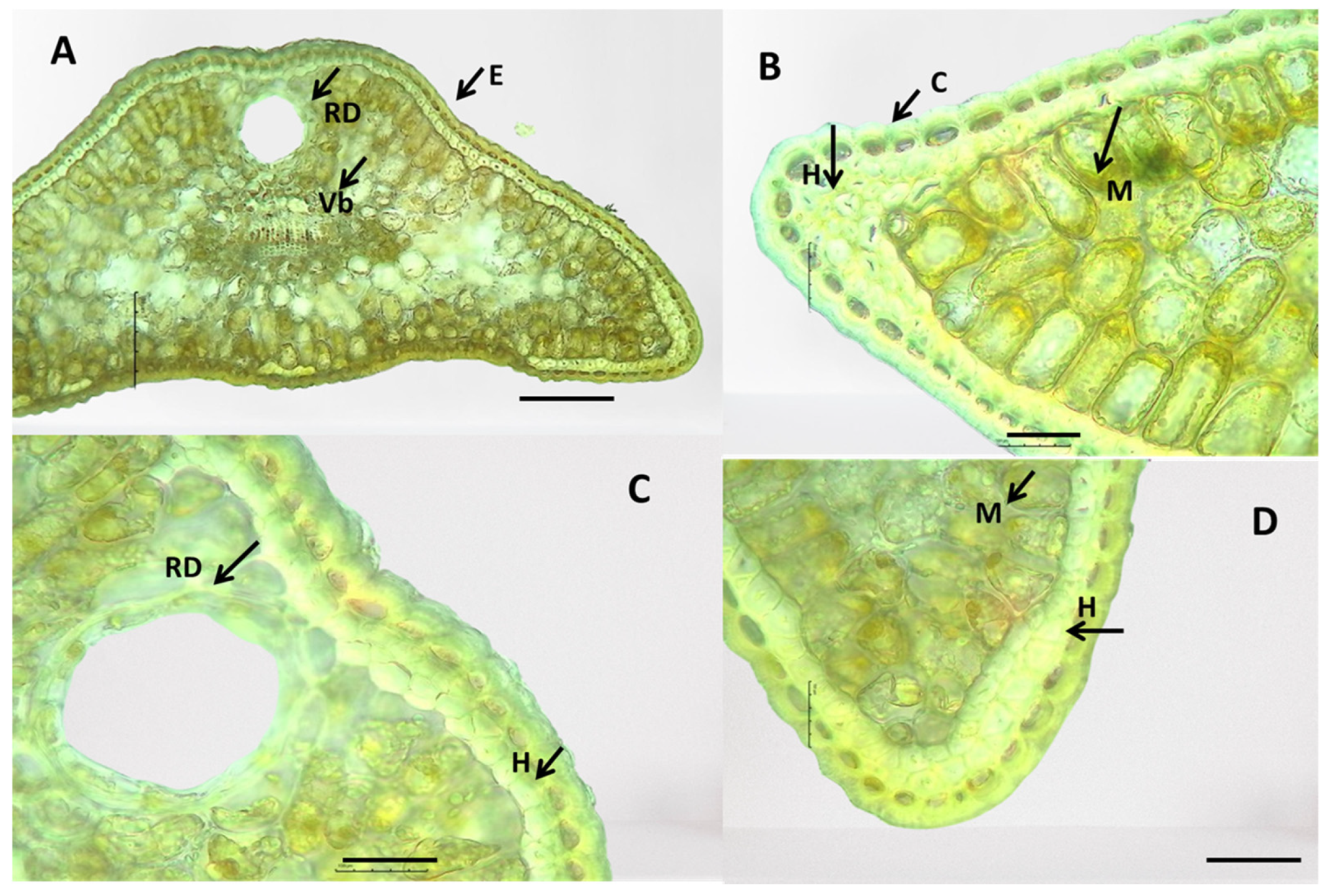 Plants 13 02419 g010