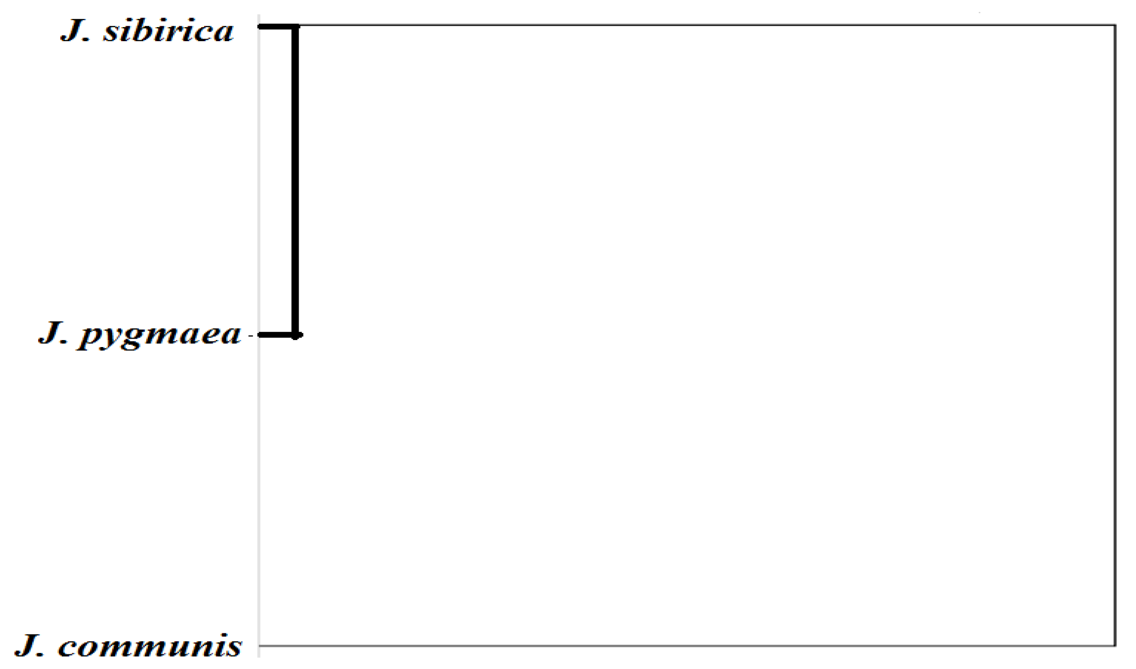 Plants 13 02419 g012