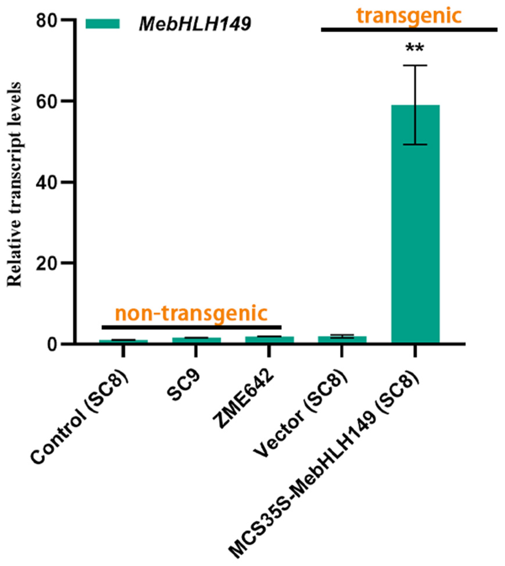 Plants 13 02422 g005
