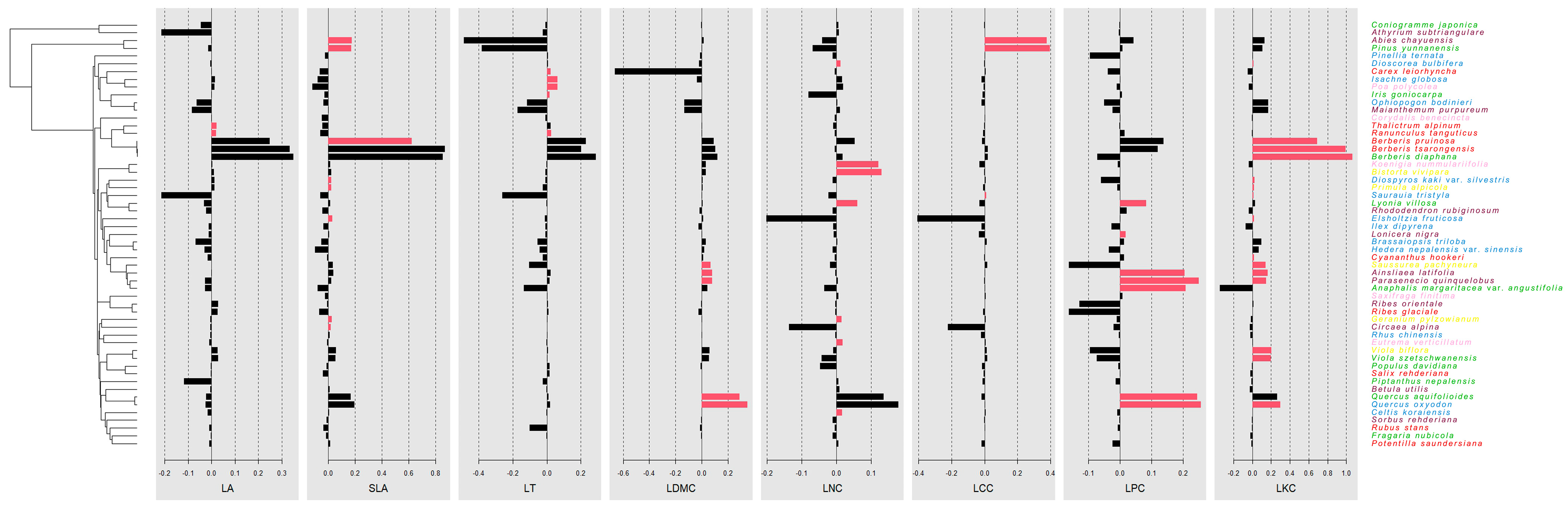 Plants 13 02423 g003 Plants 13 02423 g003