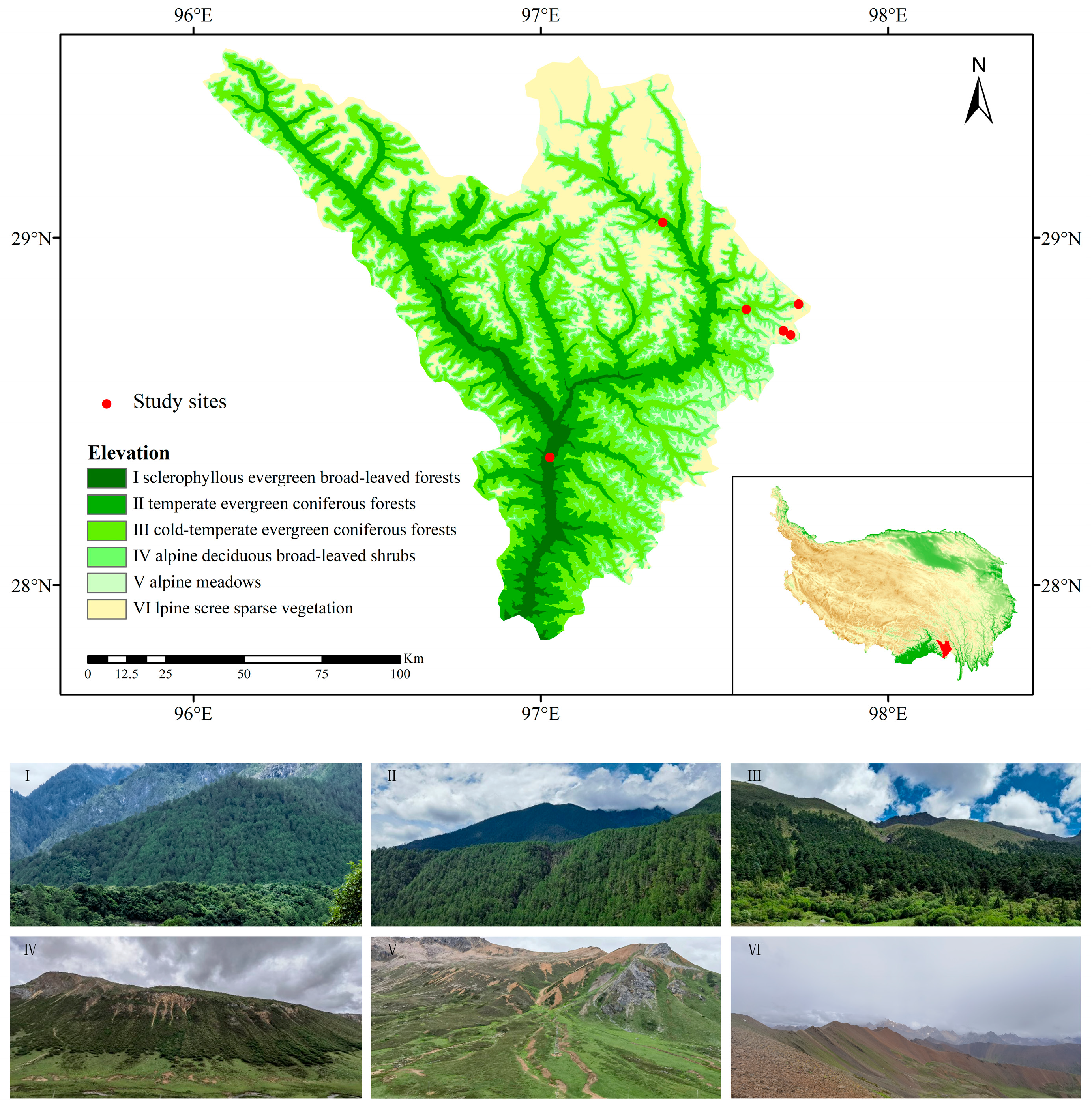 Plants 13 02423 g006 Plants 13 02423 g006