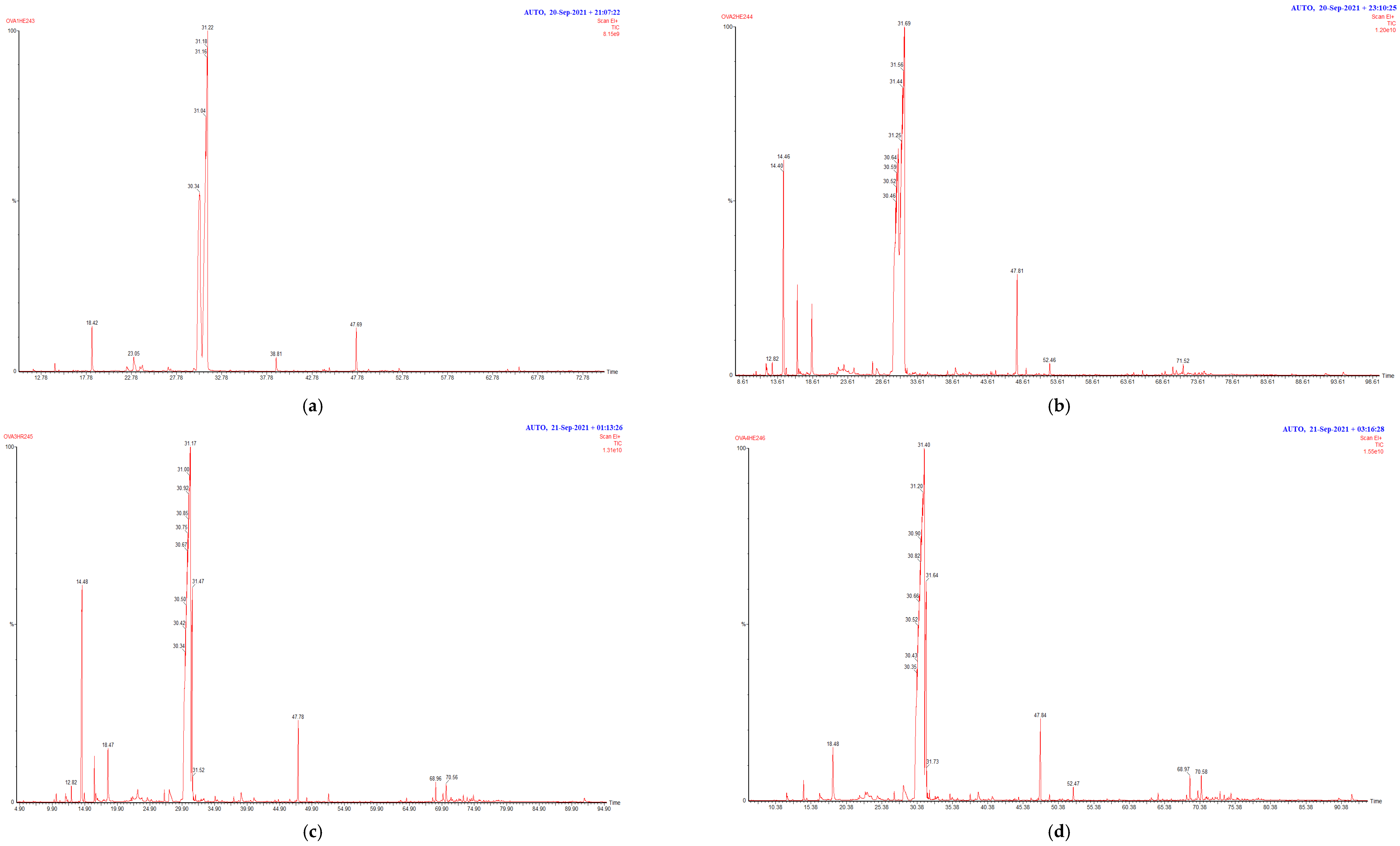 Plants 13 02424 g001