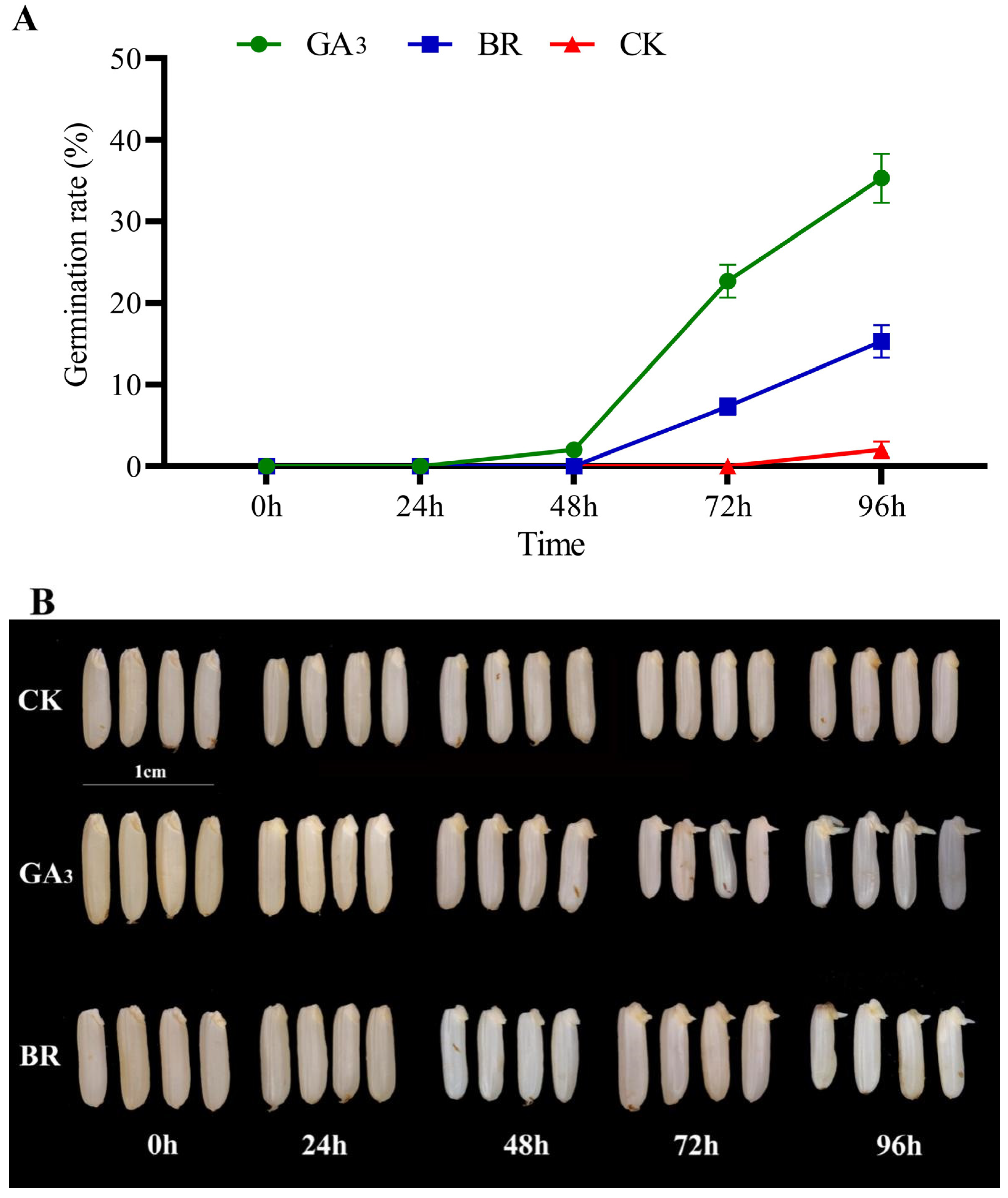 Plants 13 02430 g001 Plants 13 02430 g001