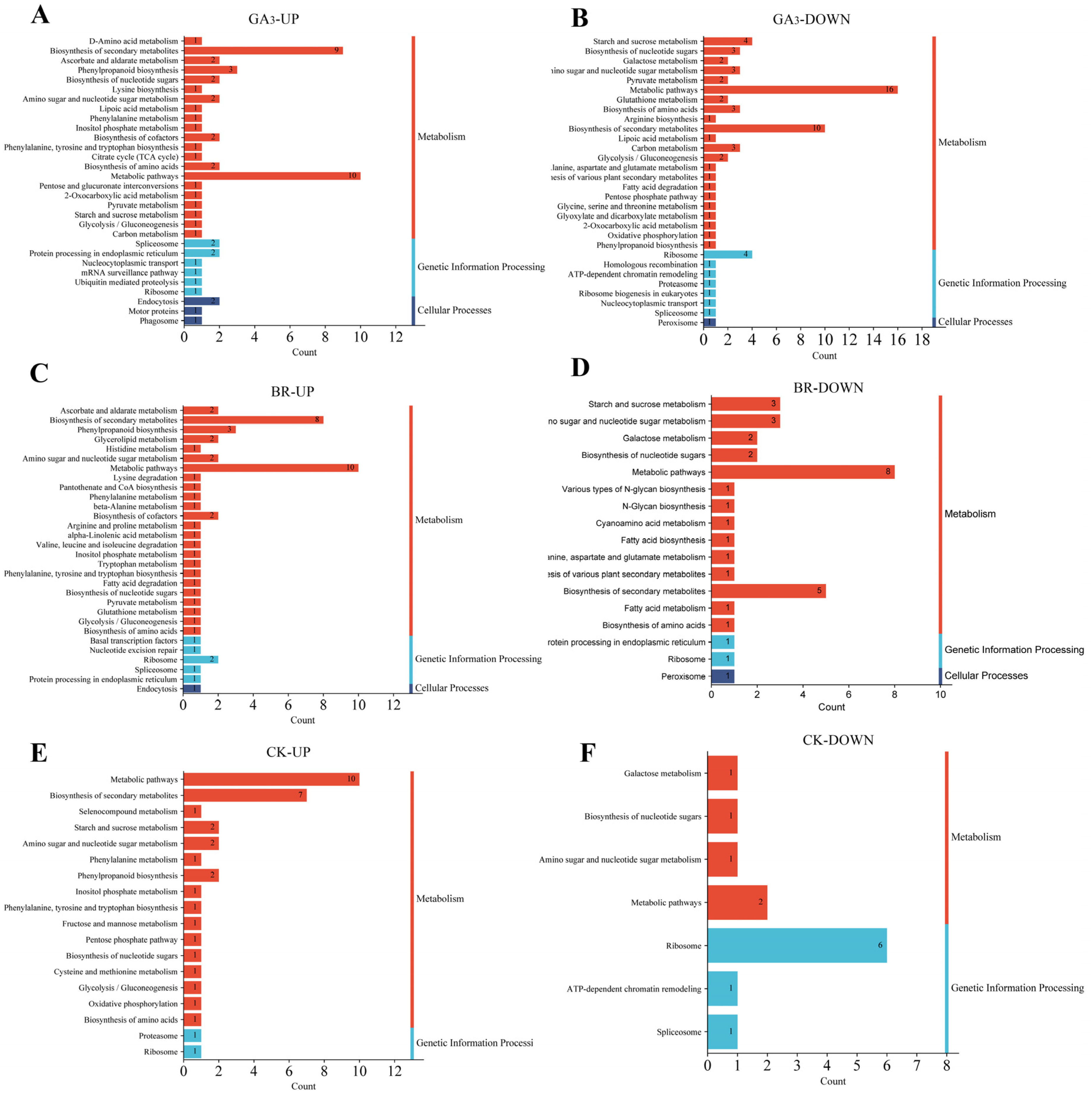 Plants 13 02430 g008 Plants 13 02430 g008