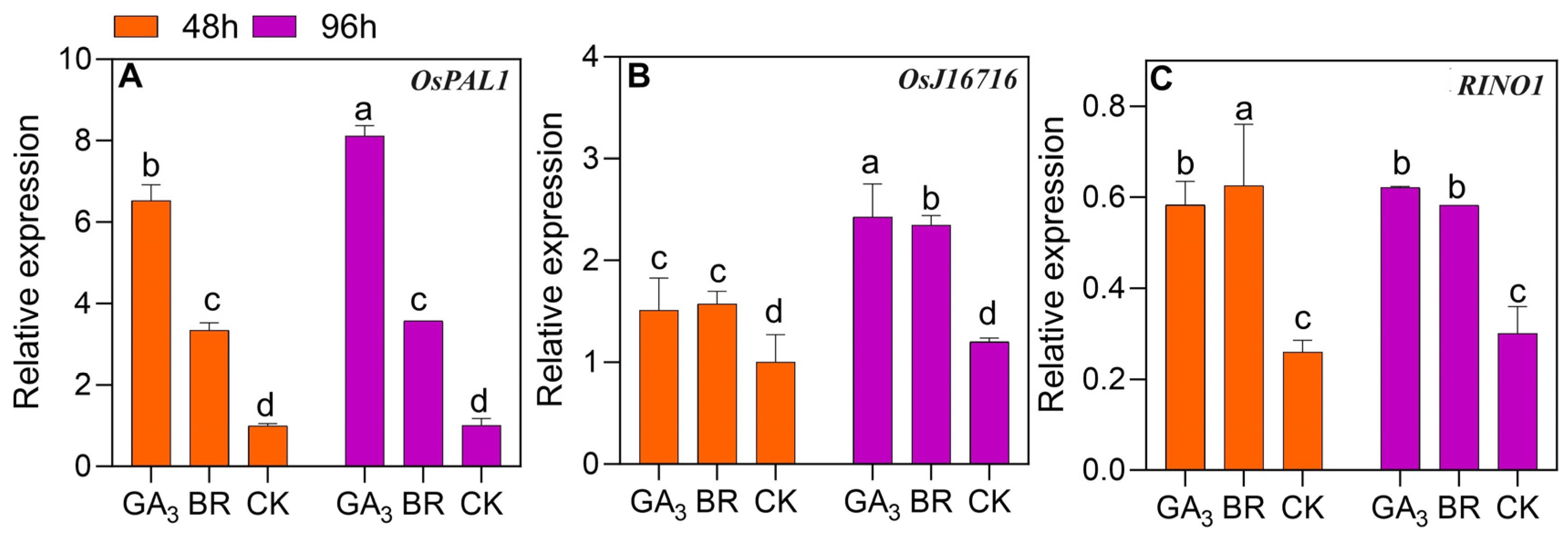 Plants 13 02430 g009 Plants 13 02430 g009