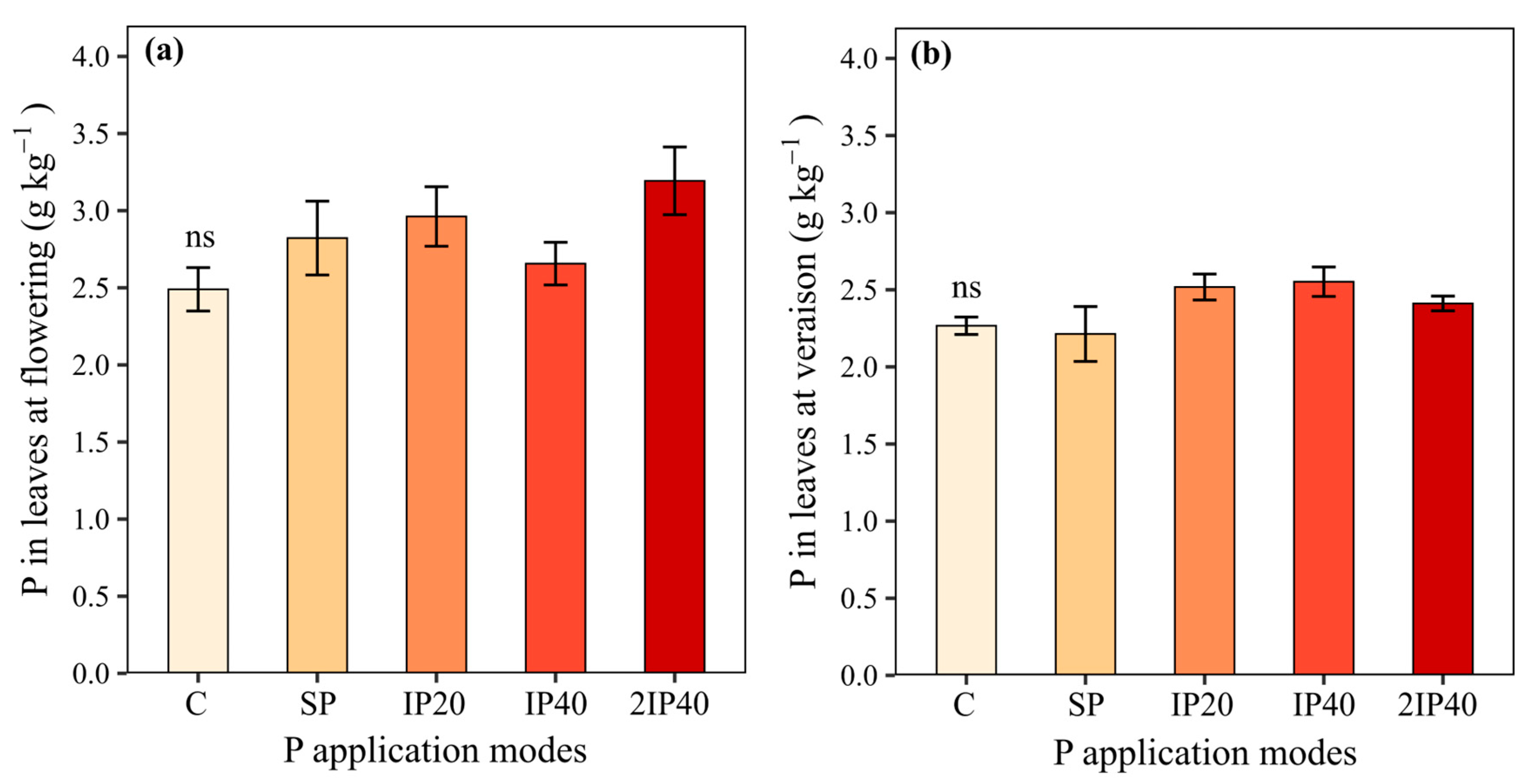 Plants 13 02434 g002