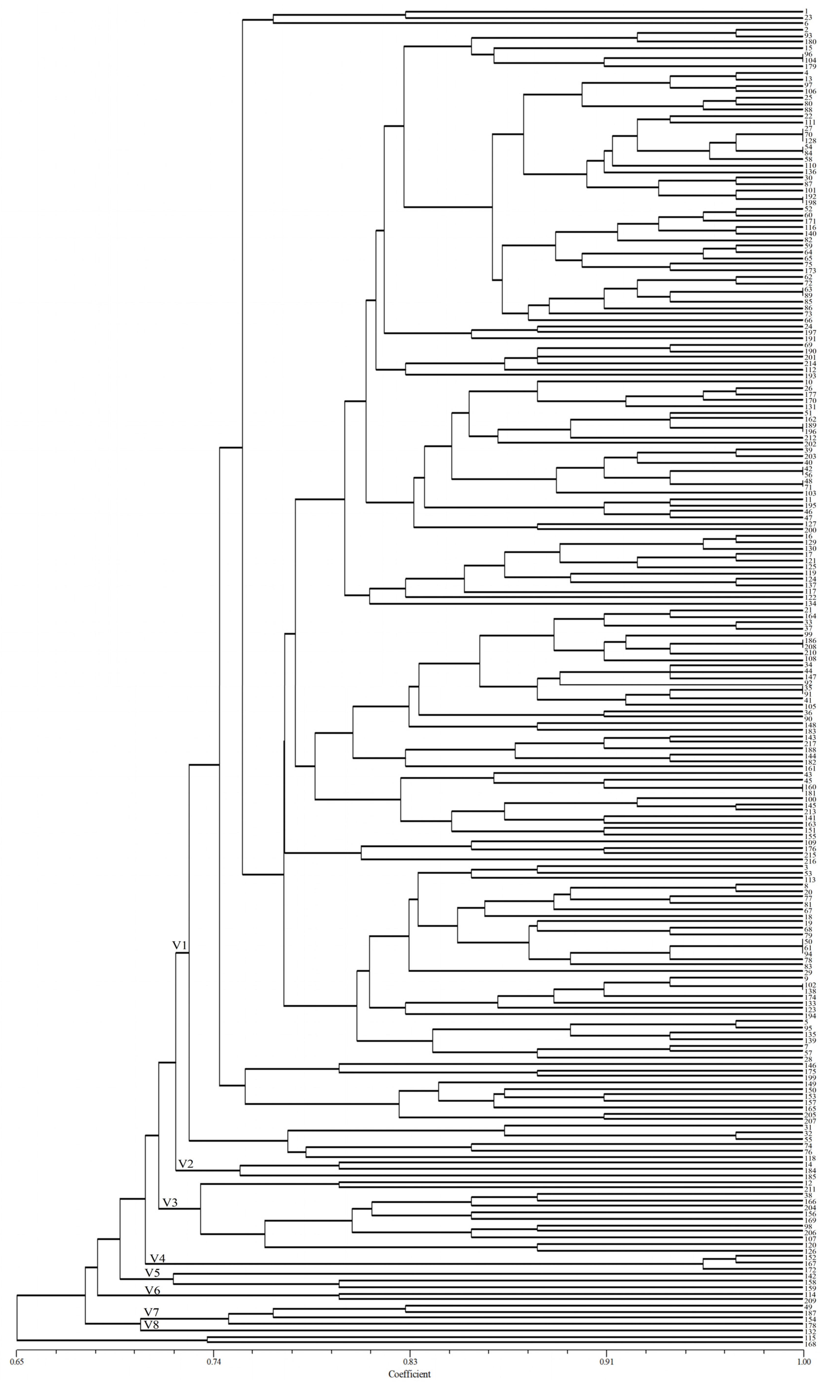 Plants 13 02438 g001
