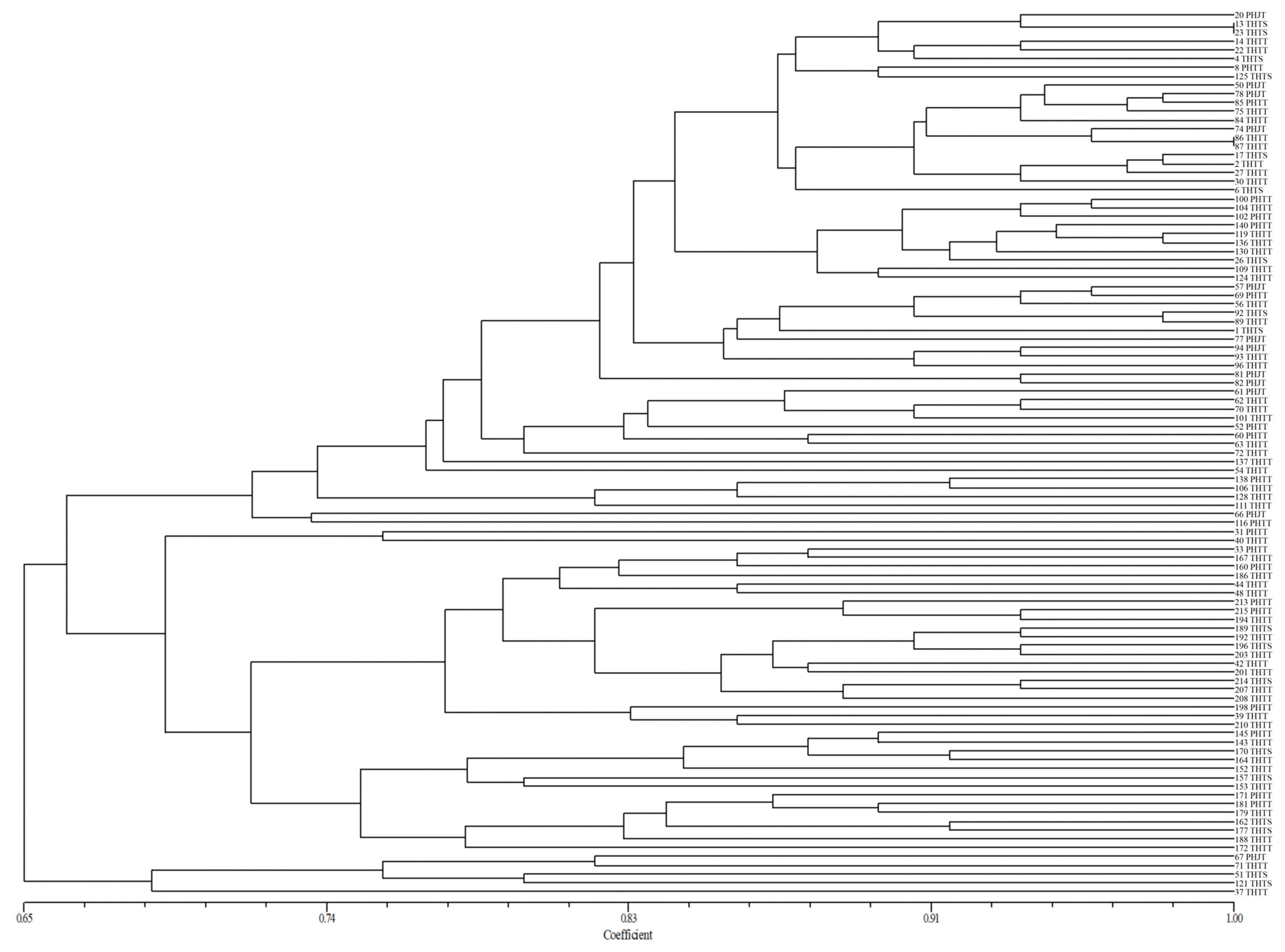 Plants 13 02438 g006