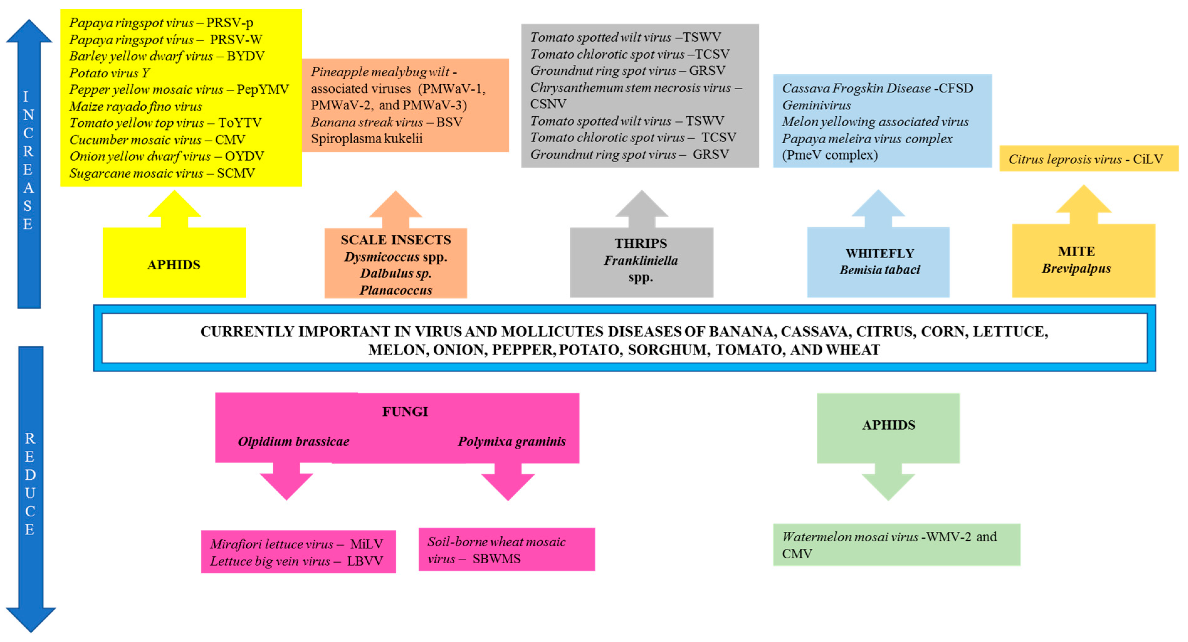 Plants 13 02447 g004 Plants 13 02447 g004