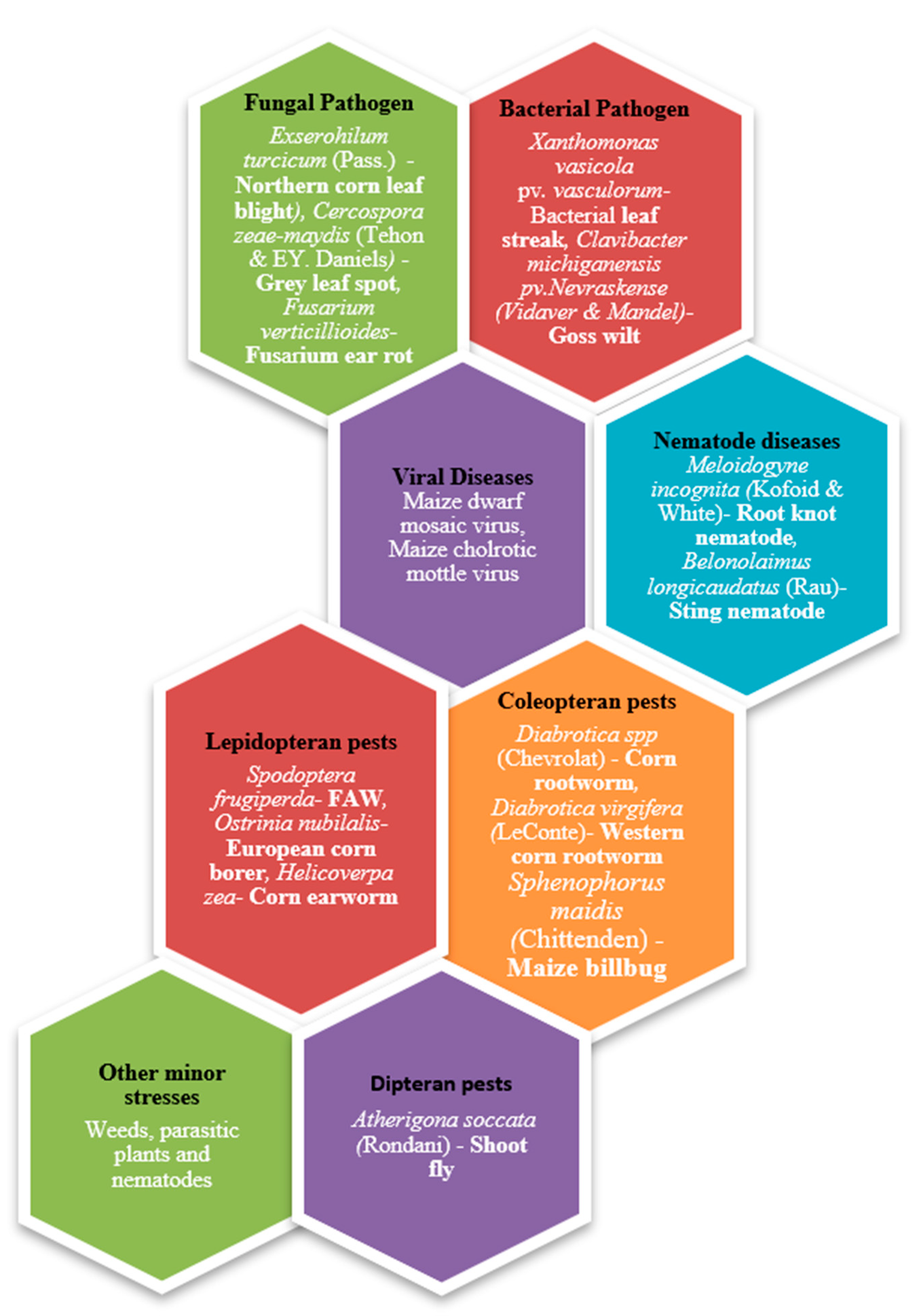 Plants 13 02451 g001