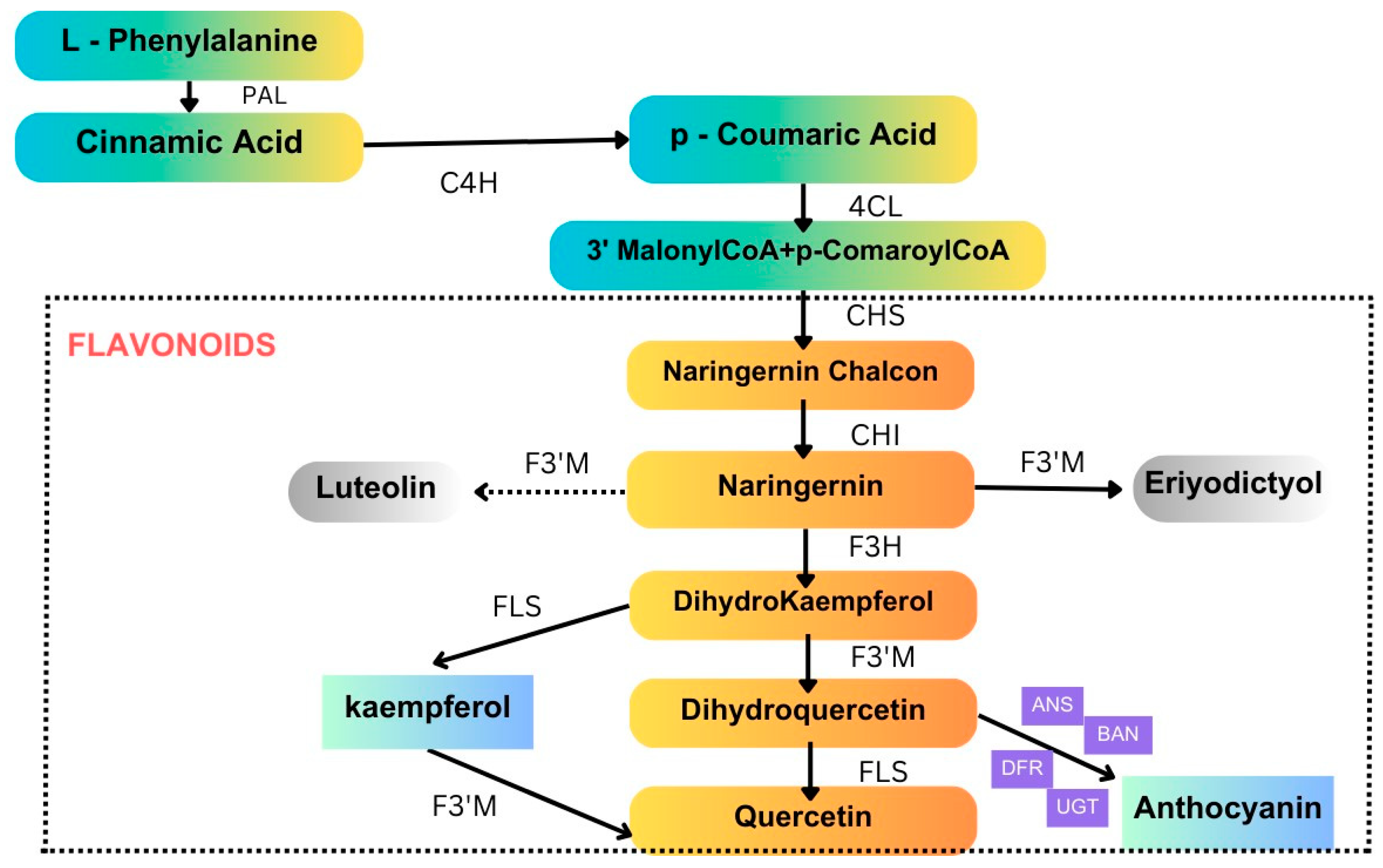 Plants 13 02451 g005