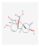 Plants 13 02451 i001