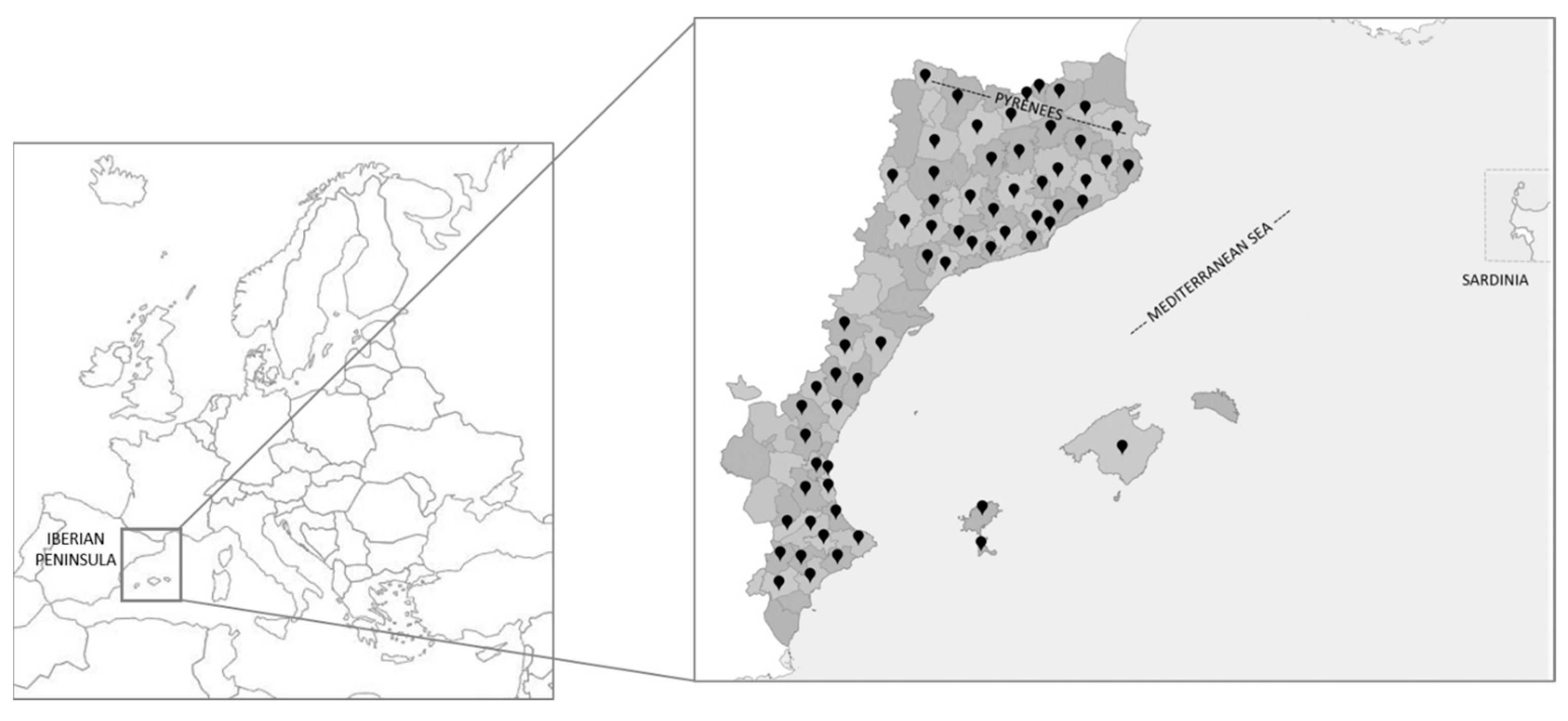 Plants 13 02453 g001