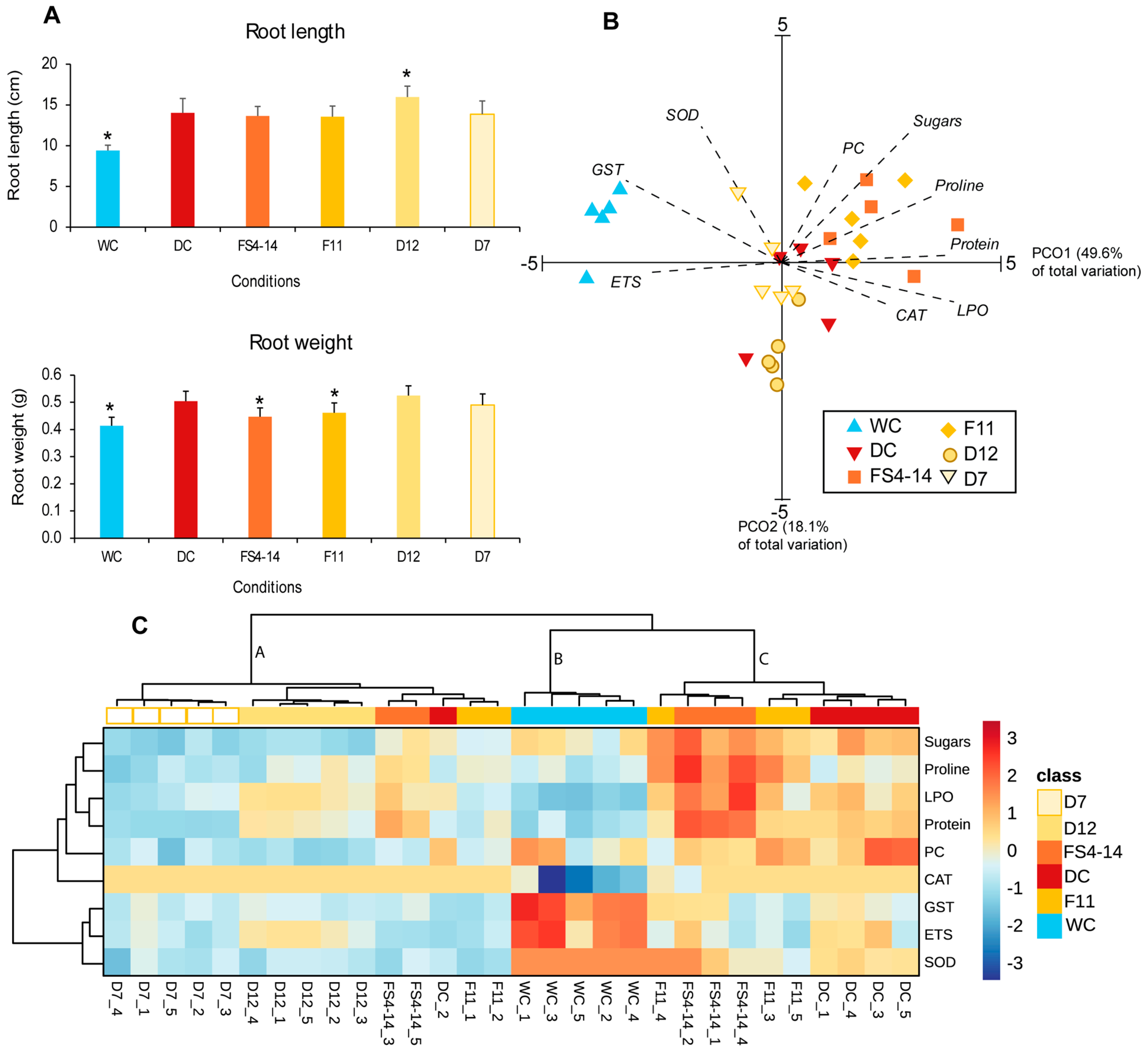 Plants 13 02456 g001