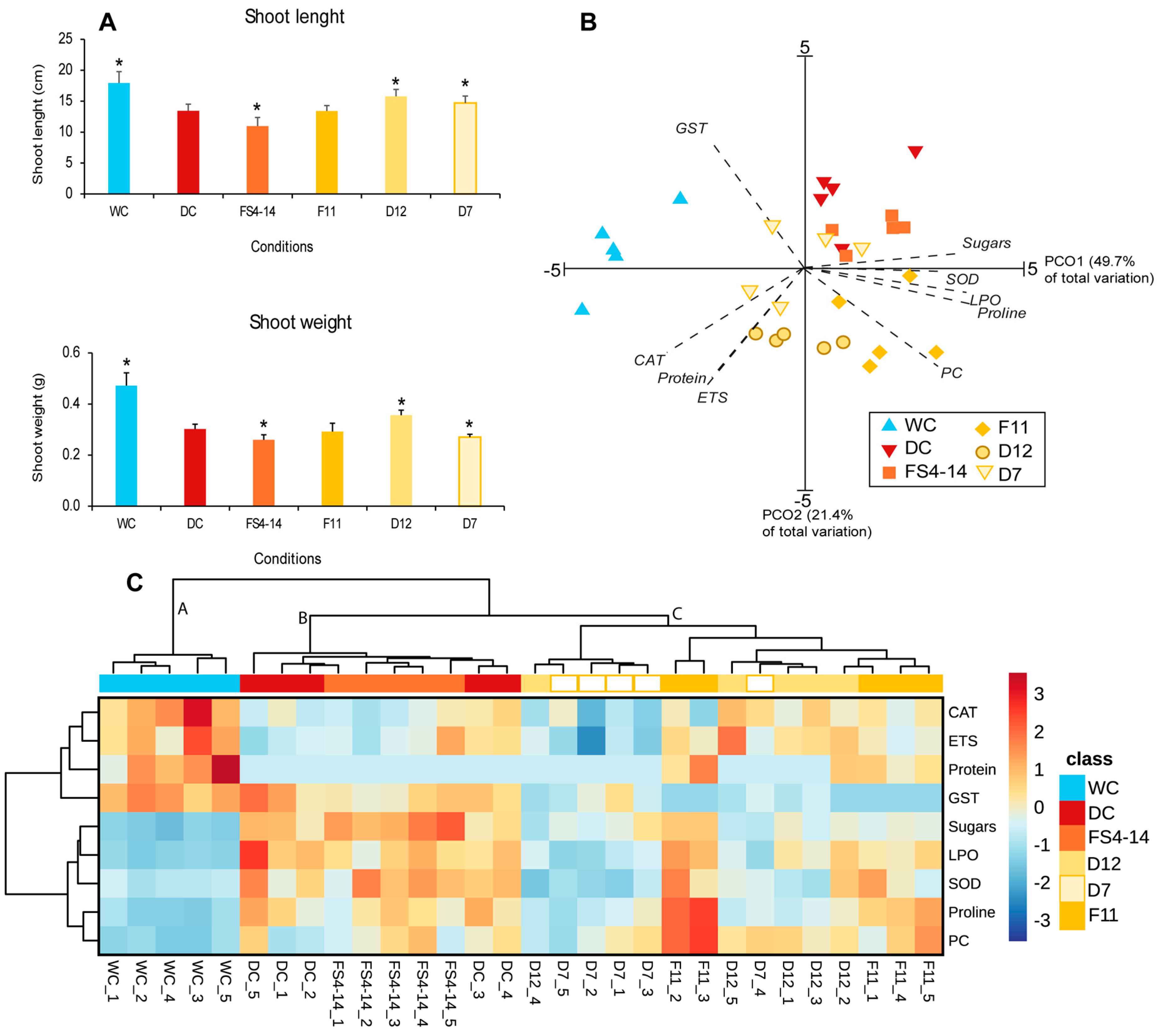 Plants 13 02456 g002