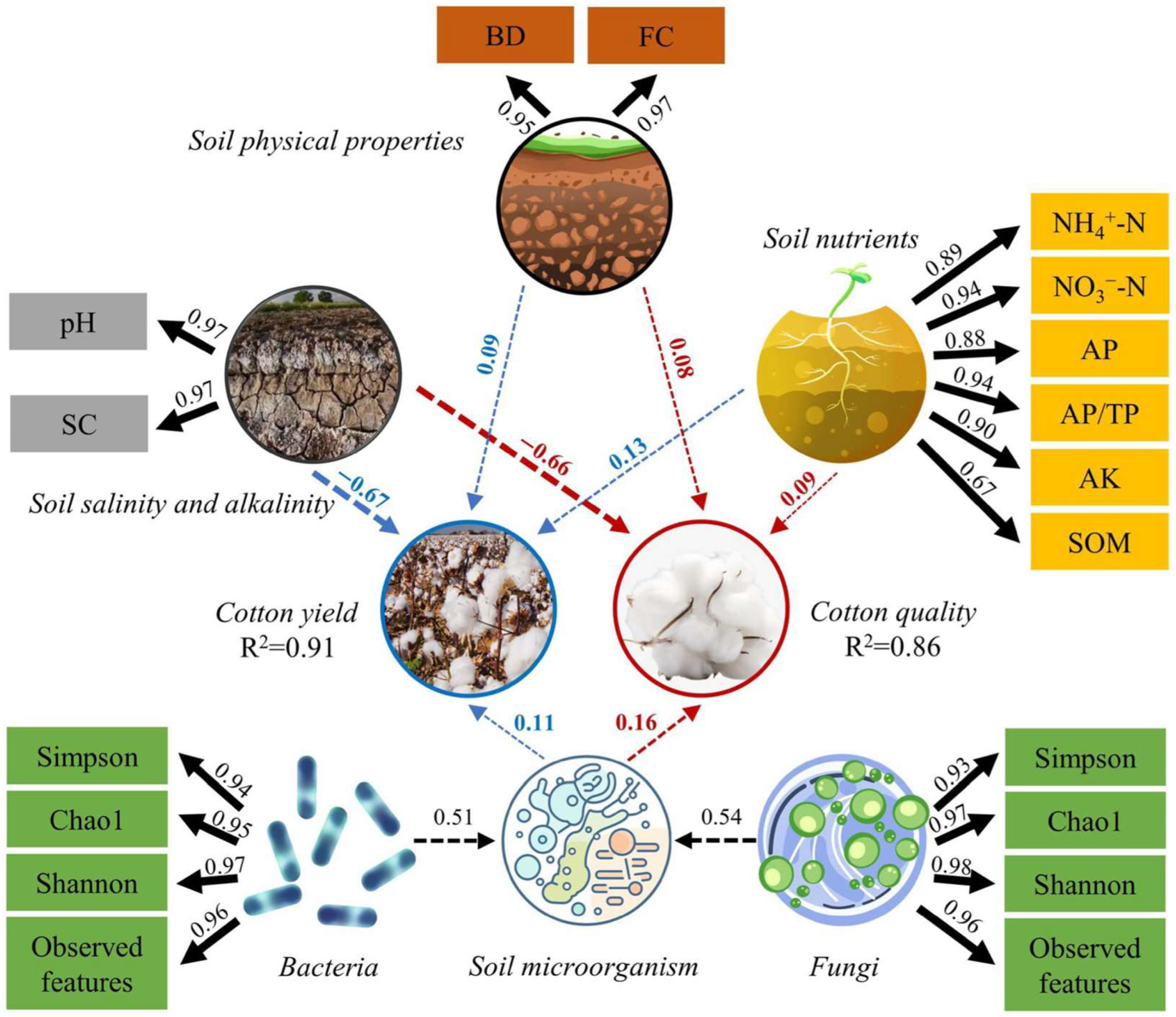 Plants 13 02458 g014