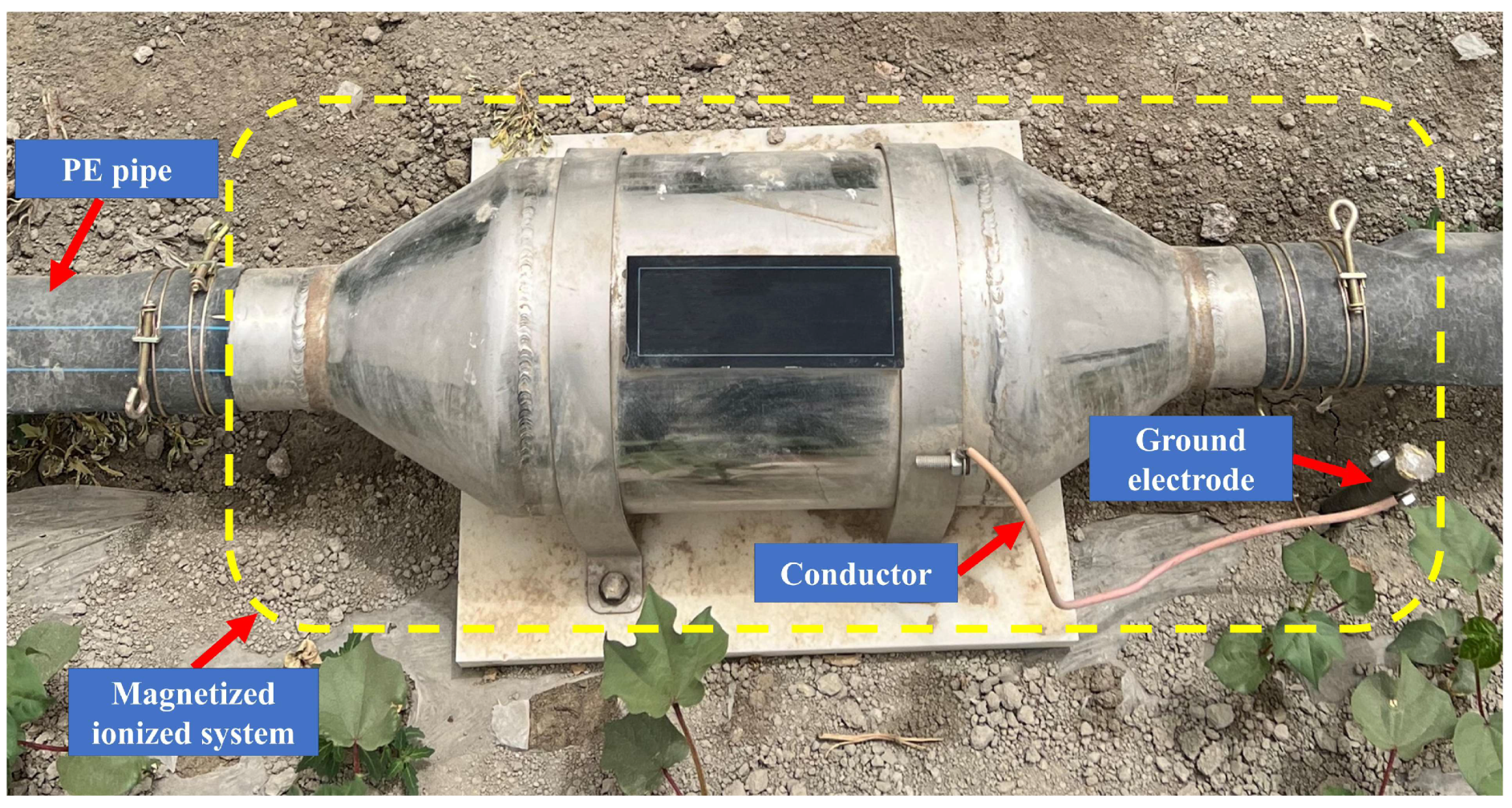 Plants 13 02458 g016