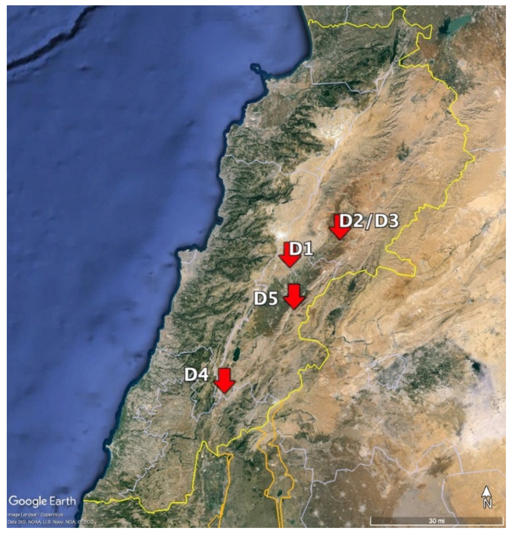 Plants 13 02460 g005