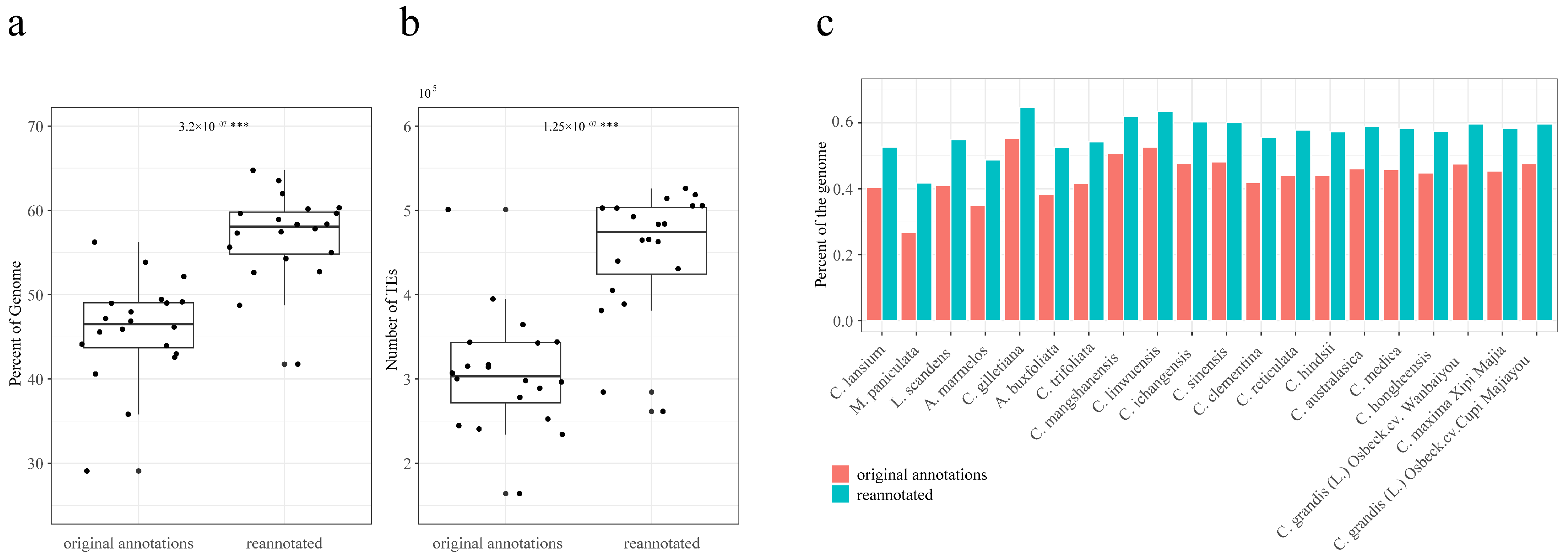 Plants 13 02462 g001