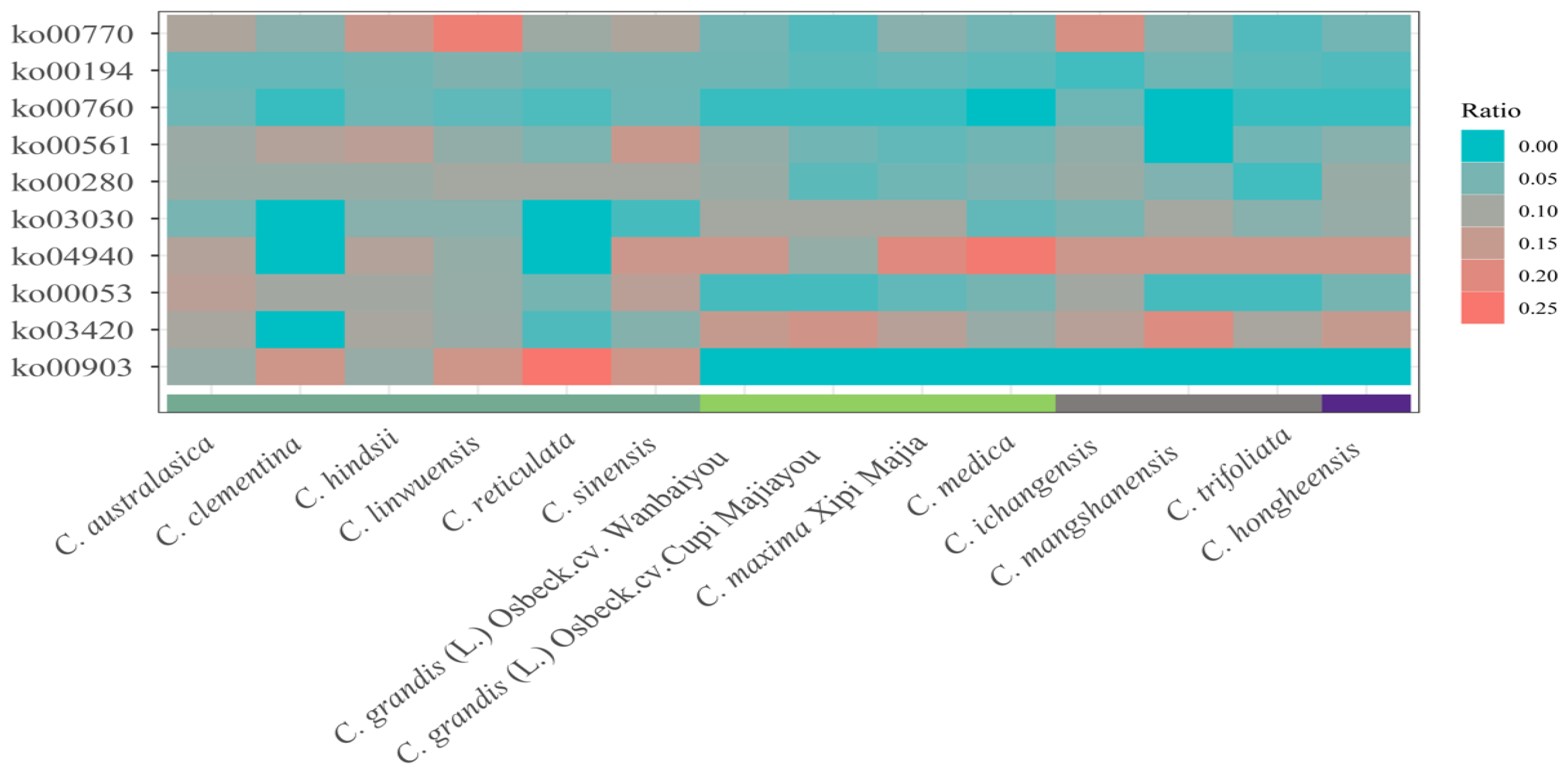Plants 13 02462 g006