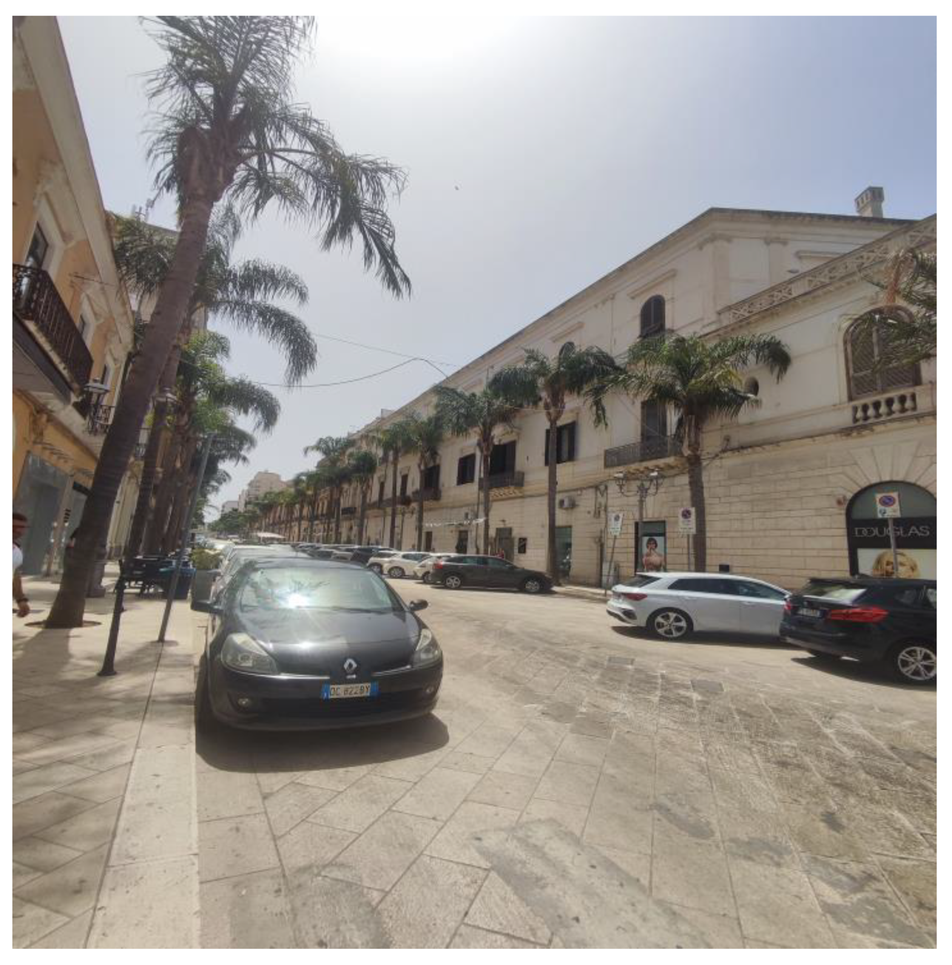 Plants 13 02463 g007