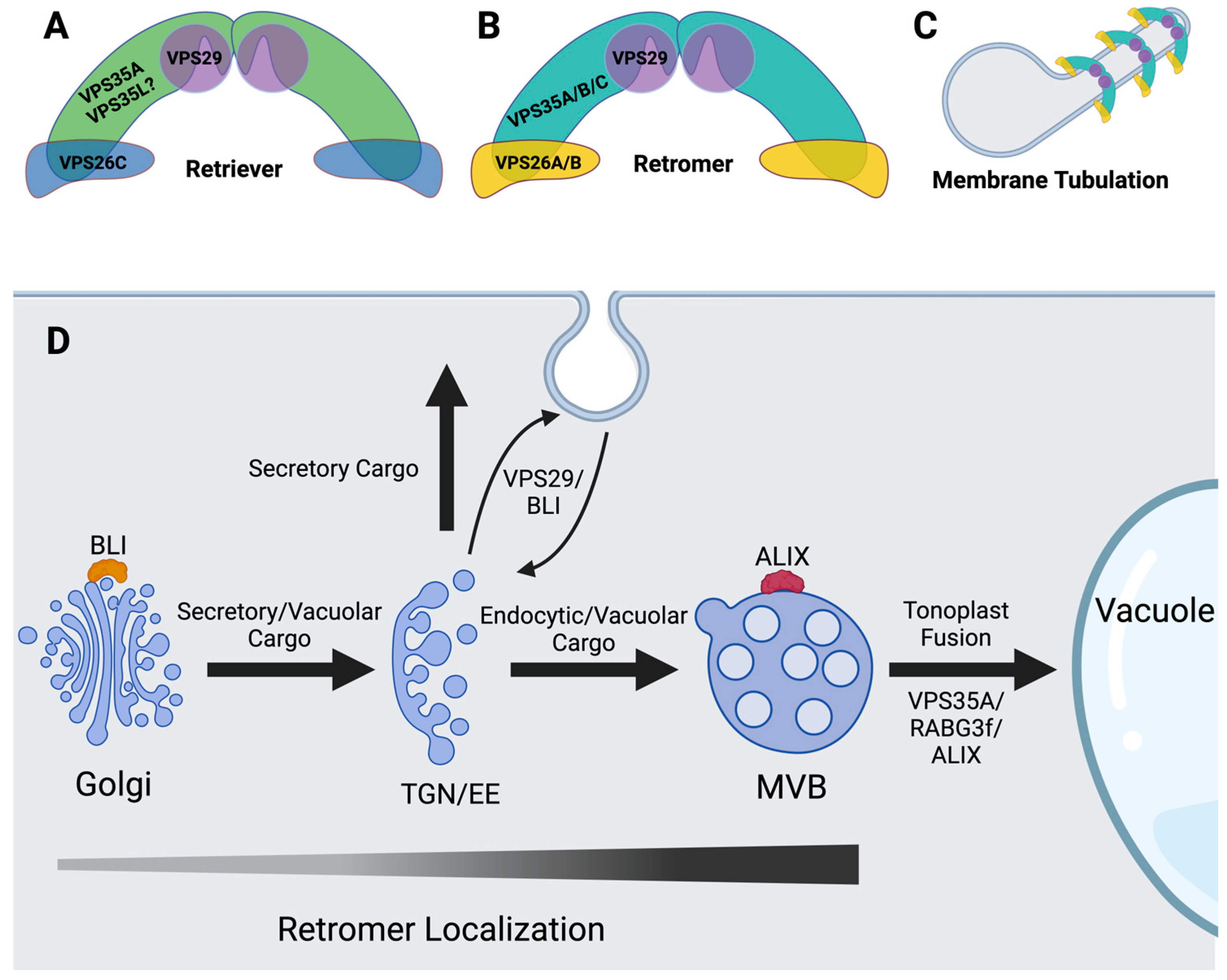Plants 13 02470 g001