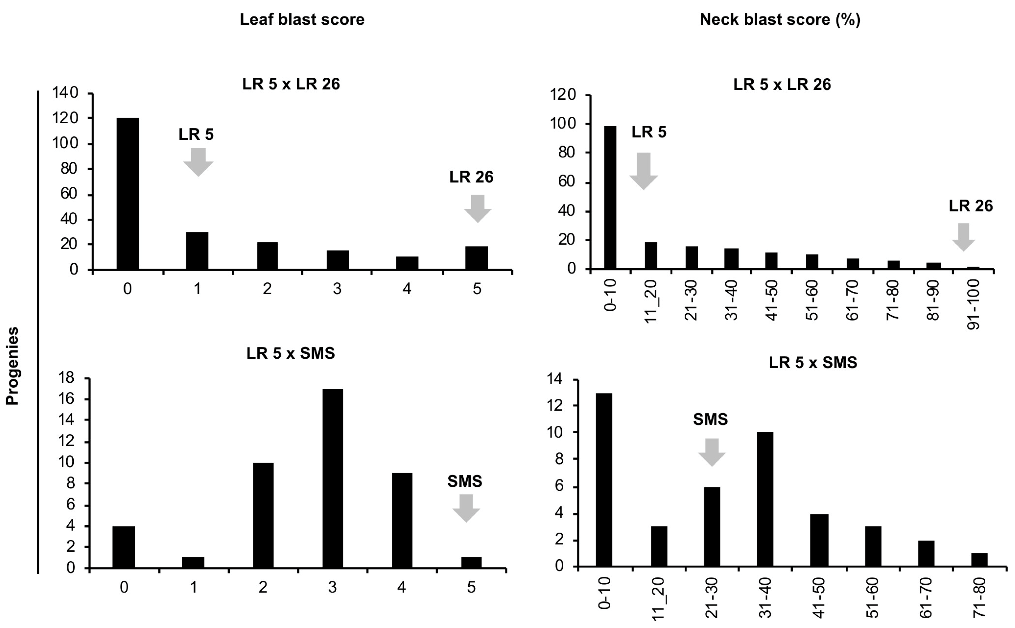 Plants 13 02475 g002 Plants 13 02475 g002