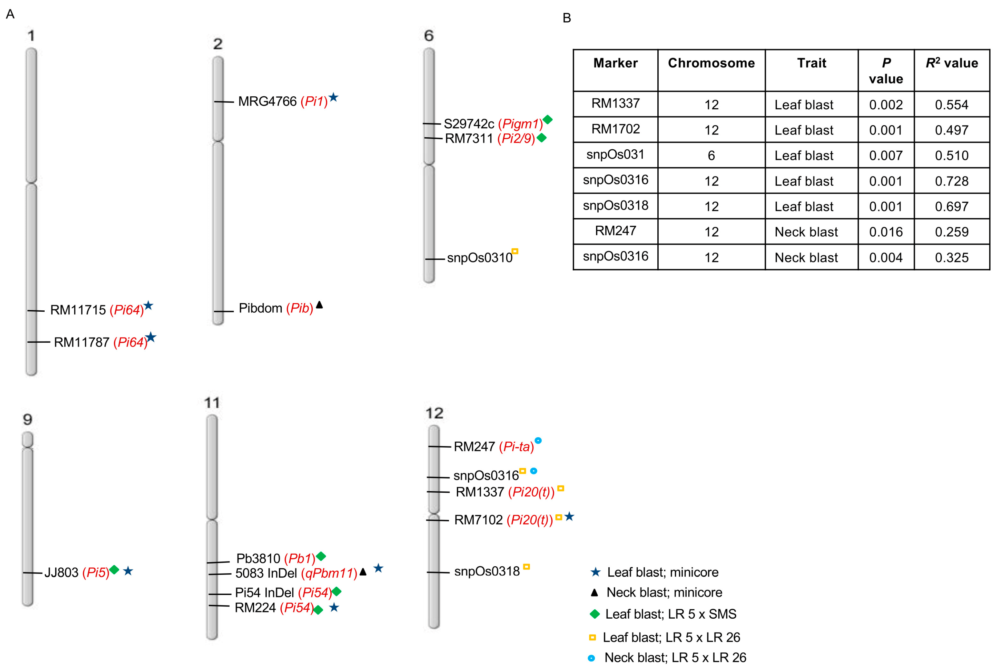 Plants 13 02475 g005 Plants 13 02475 g005