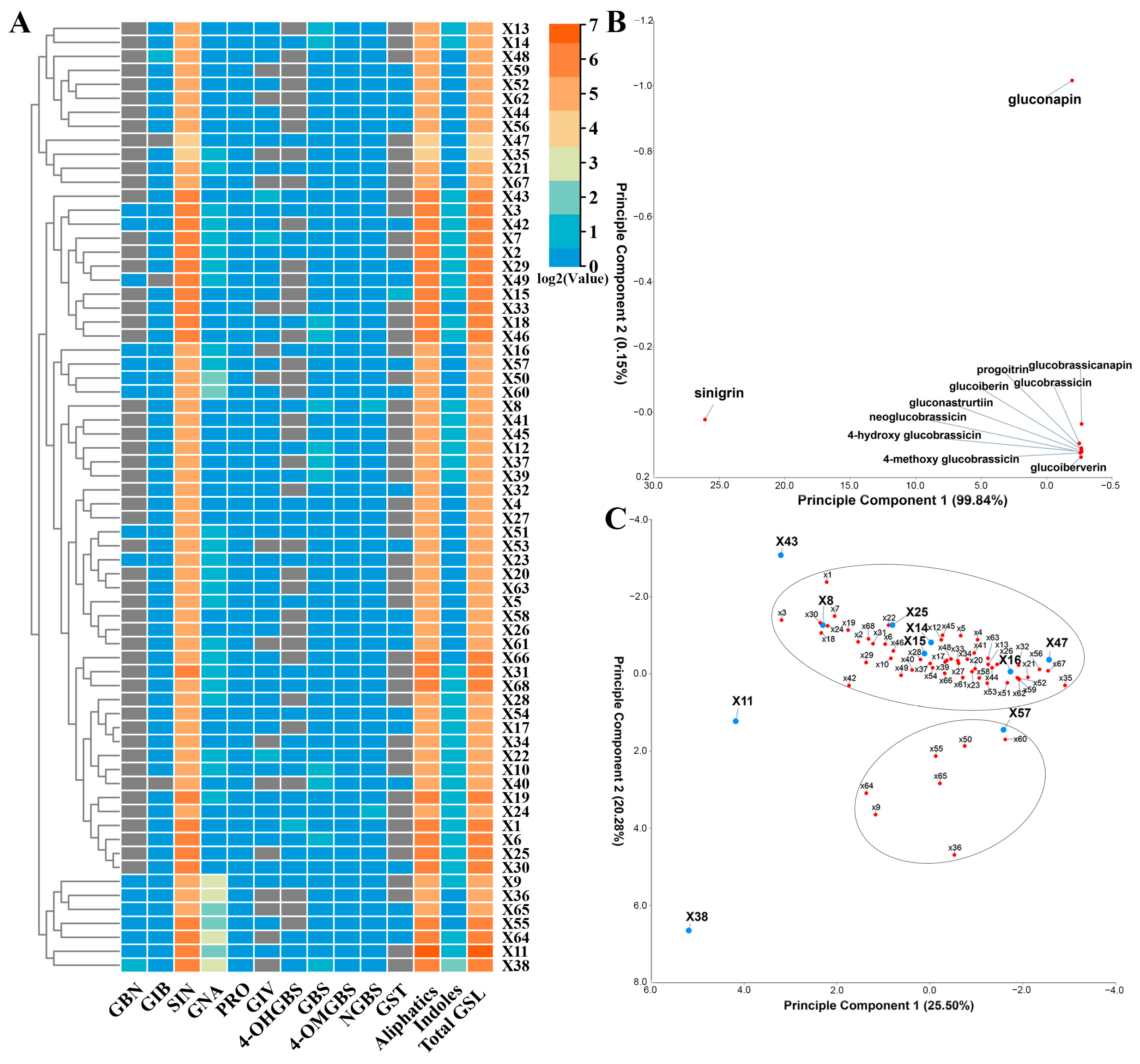 Plants 13 02481 g001