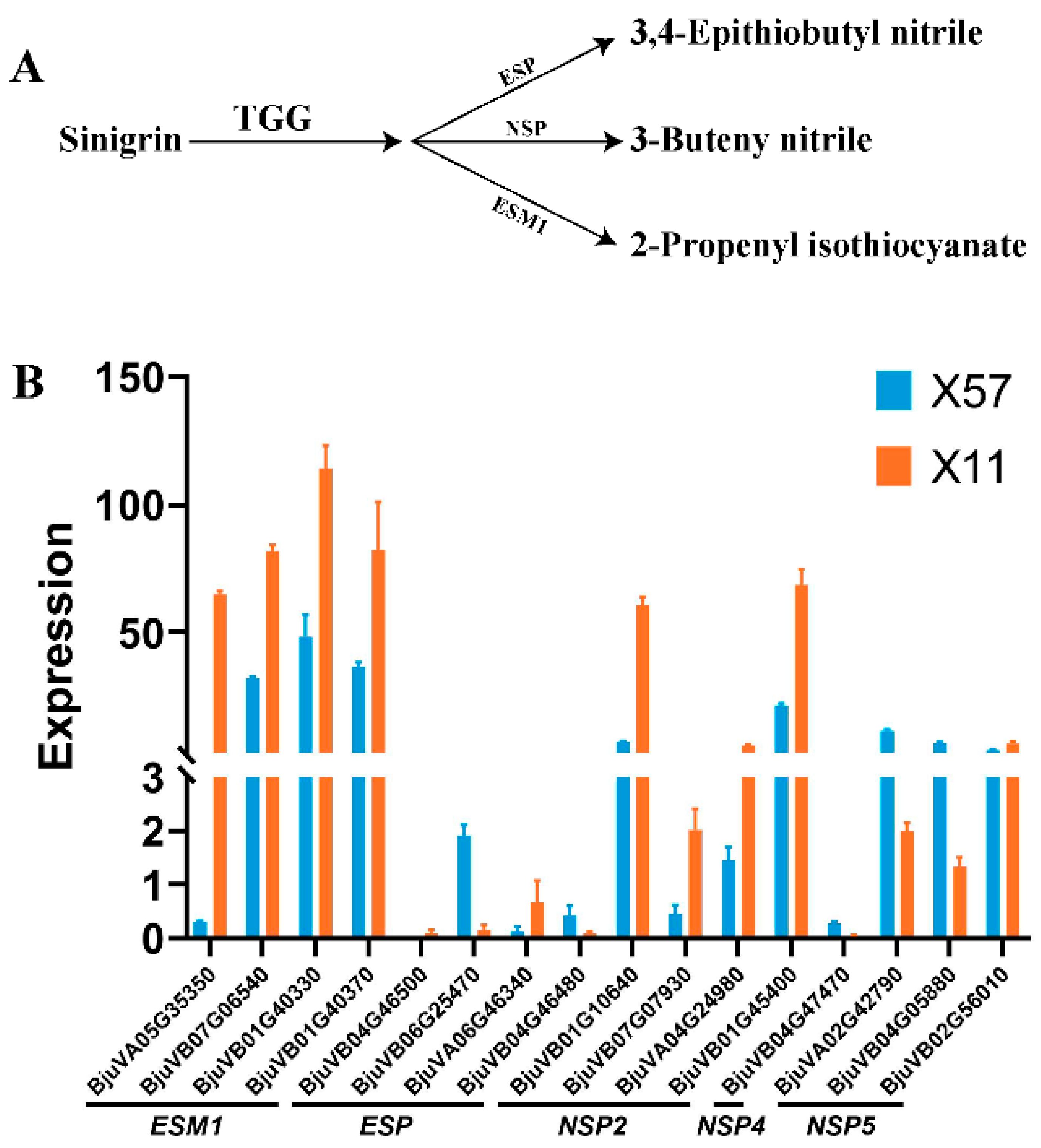 Plants 13 02481 g005