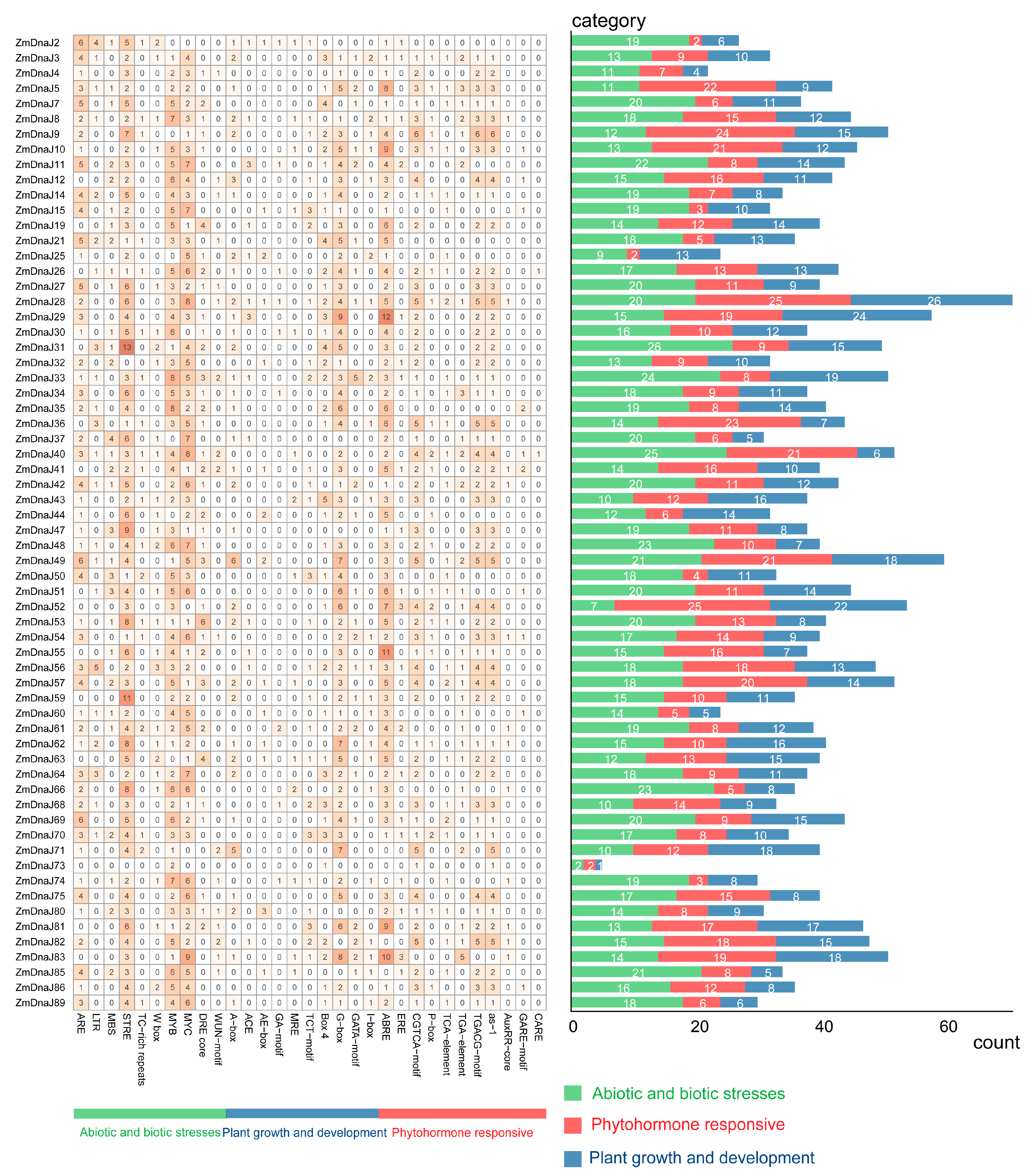 Plants 13 02488 g004