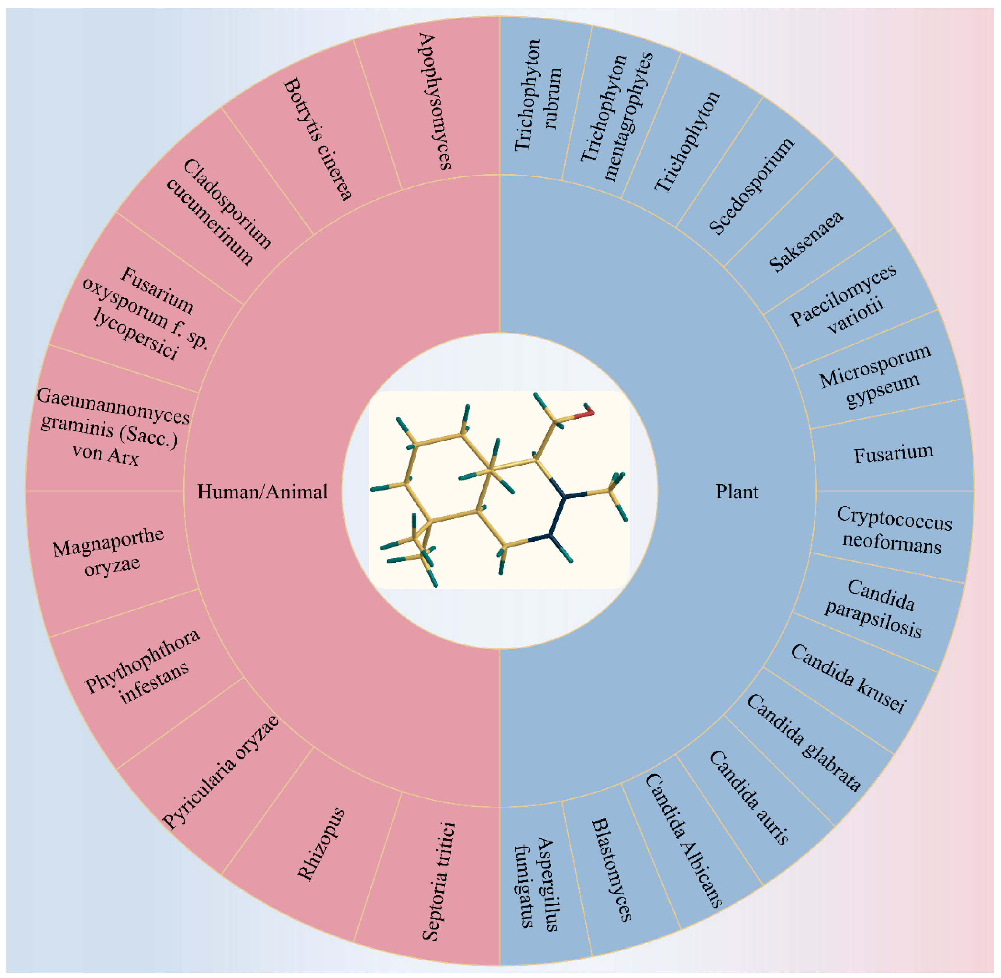 Plants 13 02492 g004 Plants 13 02492 g004